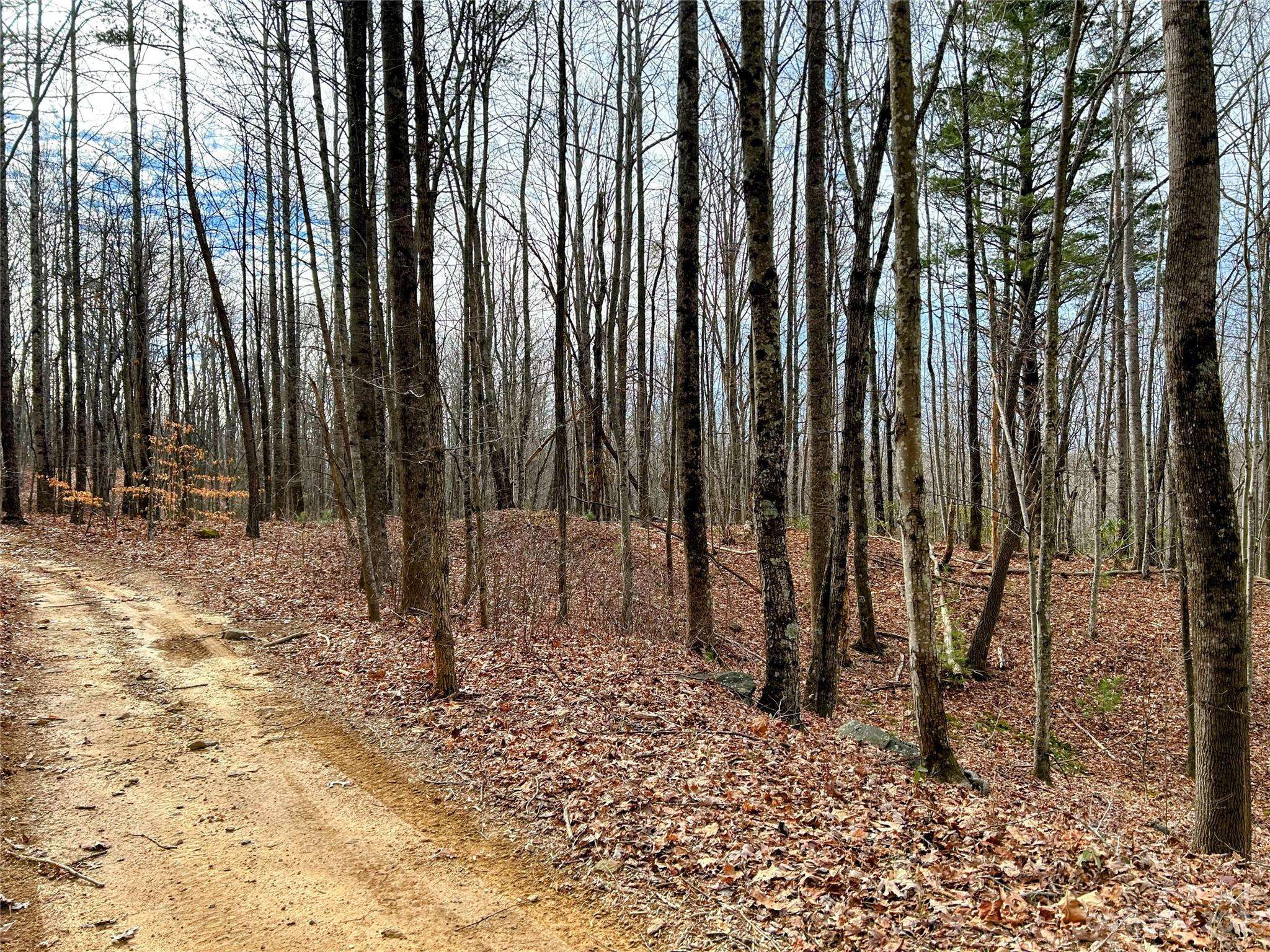 Lot 14 Rhododendron DR, Saluda, NC 28773