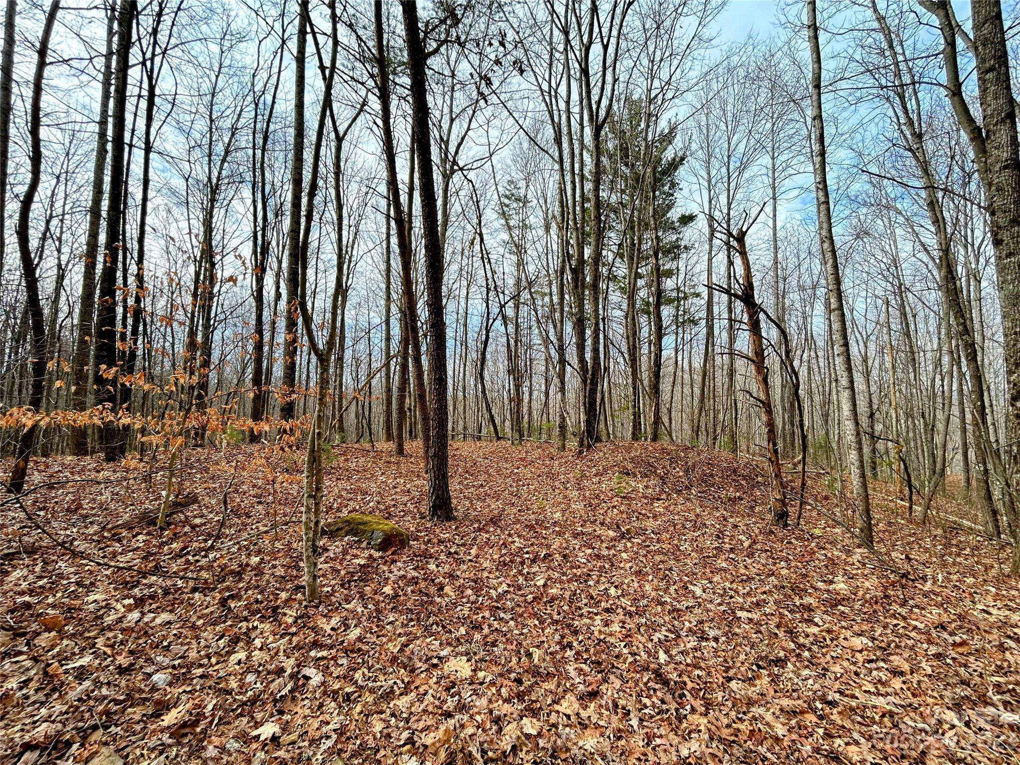 Lot 14 Rhododendron DR, Saluda, NC 28773
