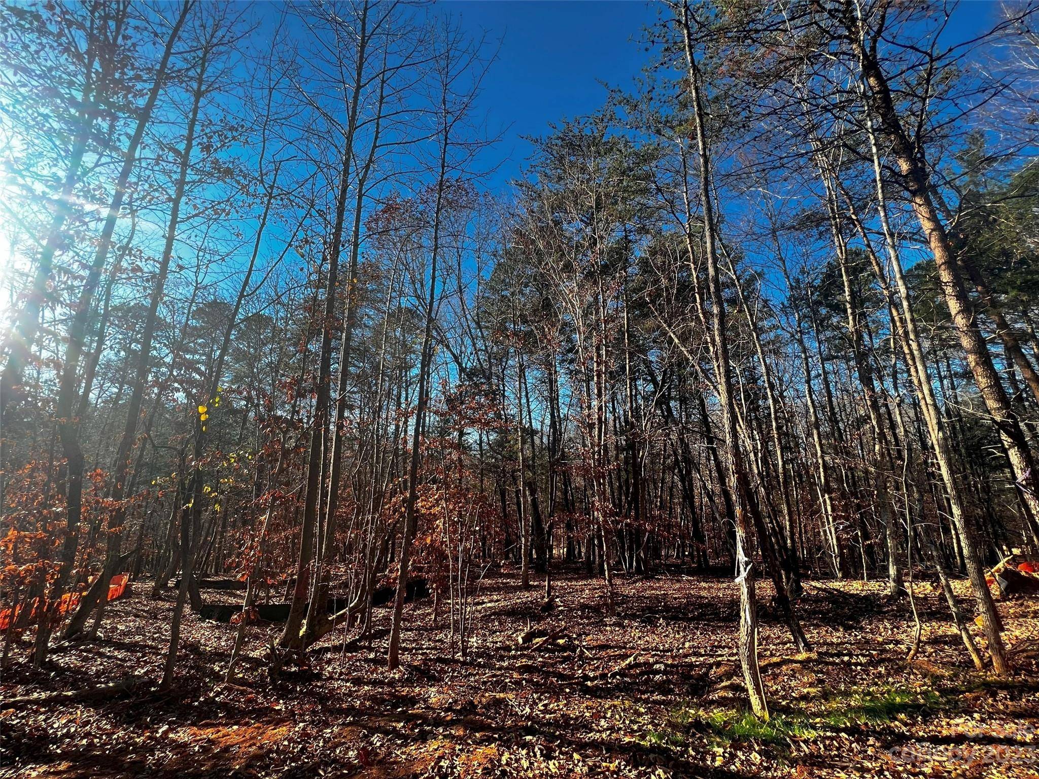 156 Copper Pine LN #5, Davidson, NC 28036
