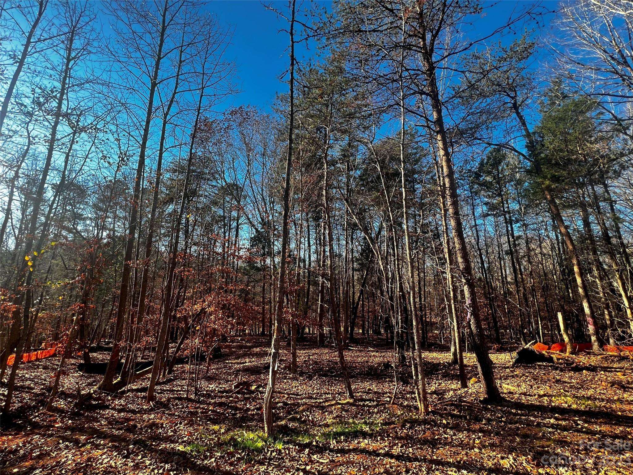156 Copper Pine LN #5, Davidson, NC 28036