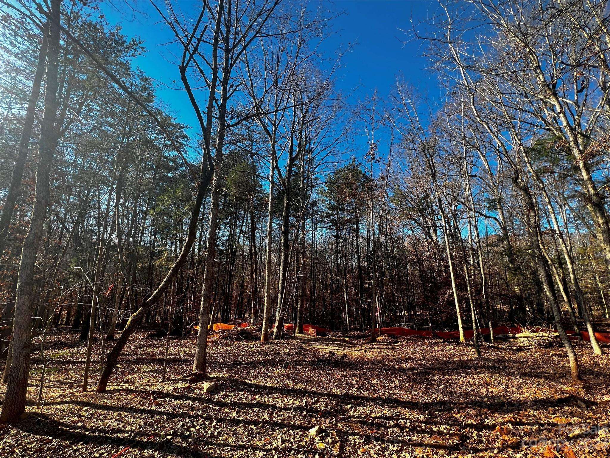 156 Copper Pine LN #5, Davidson, NC 28036