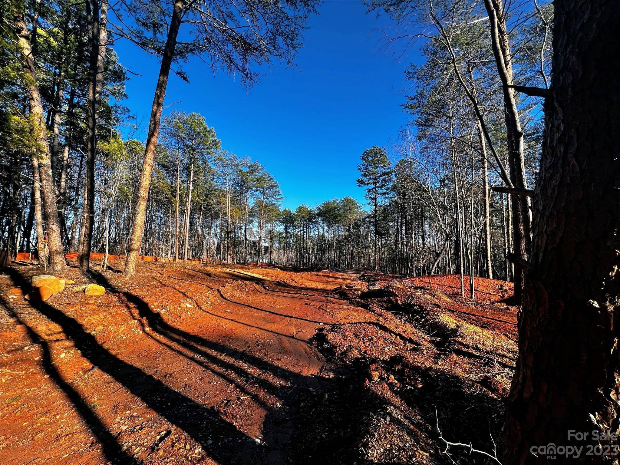 130 Hunt Camp TRL #14, Davidson, NC 28036