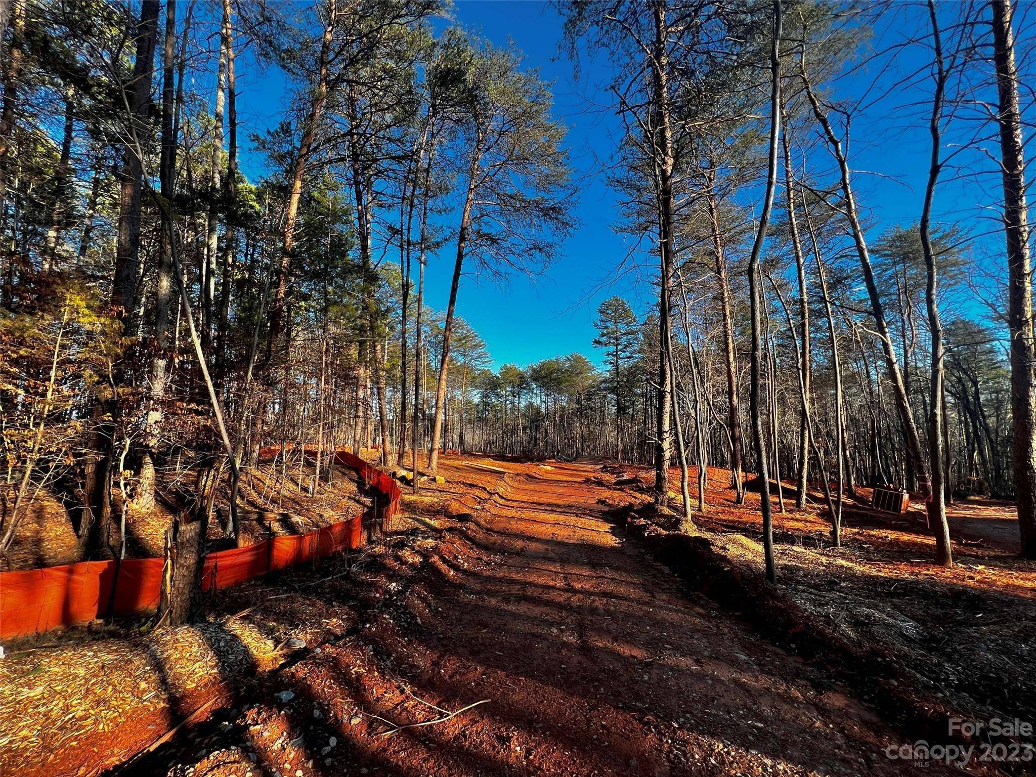 130 Hunt Camp TRL #14, Davidson, NC 28036