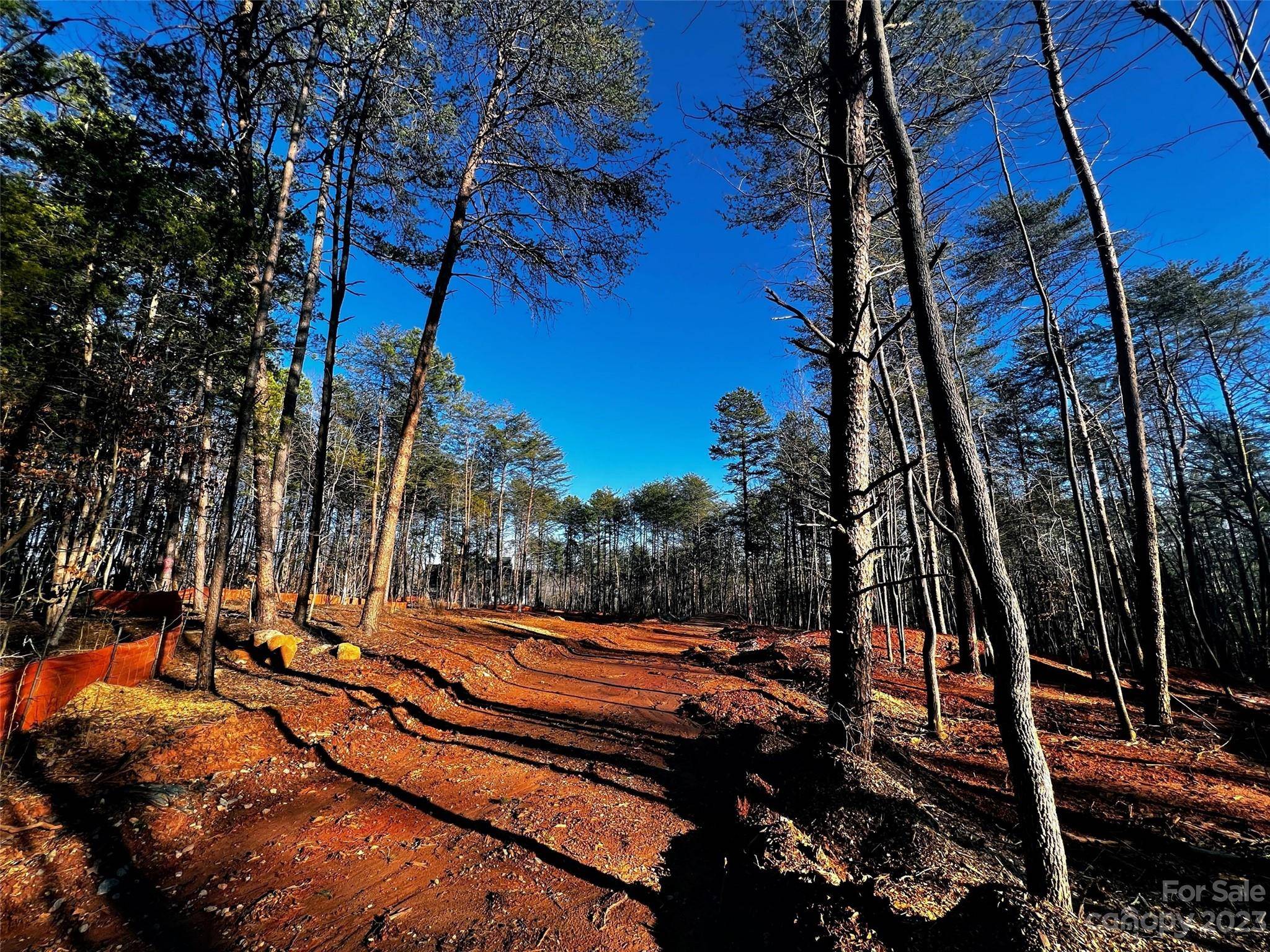 130 Hunt Camp TRL #14, Davidson, NC 28036