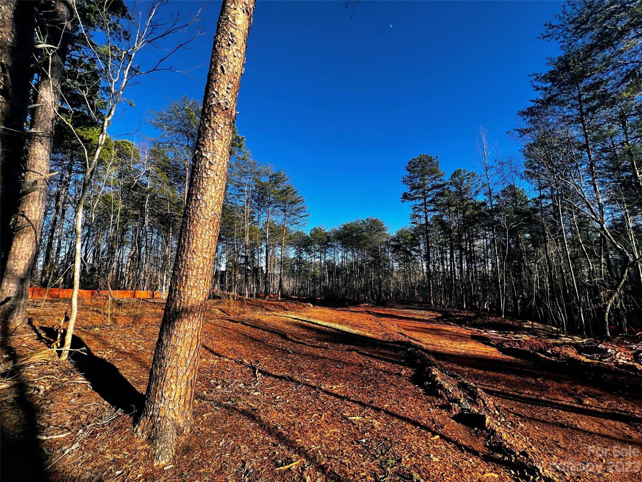 130 Hunt Camp TRL #14, Davidson, NC 28036
