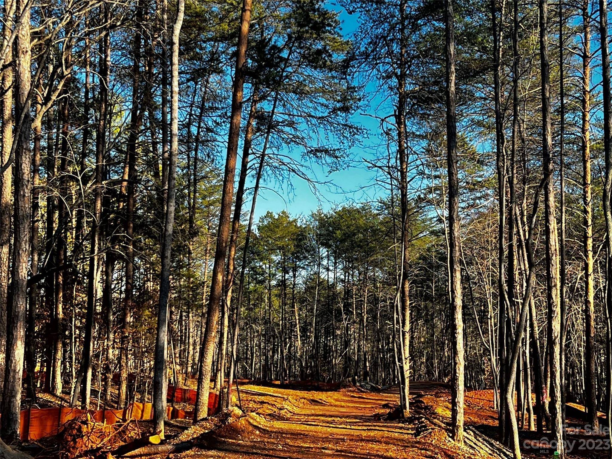 130 Hunt Camp TRL #14, Davidson, NC 28036