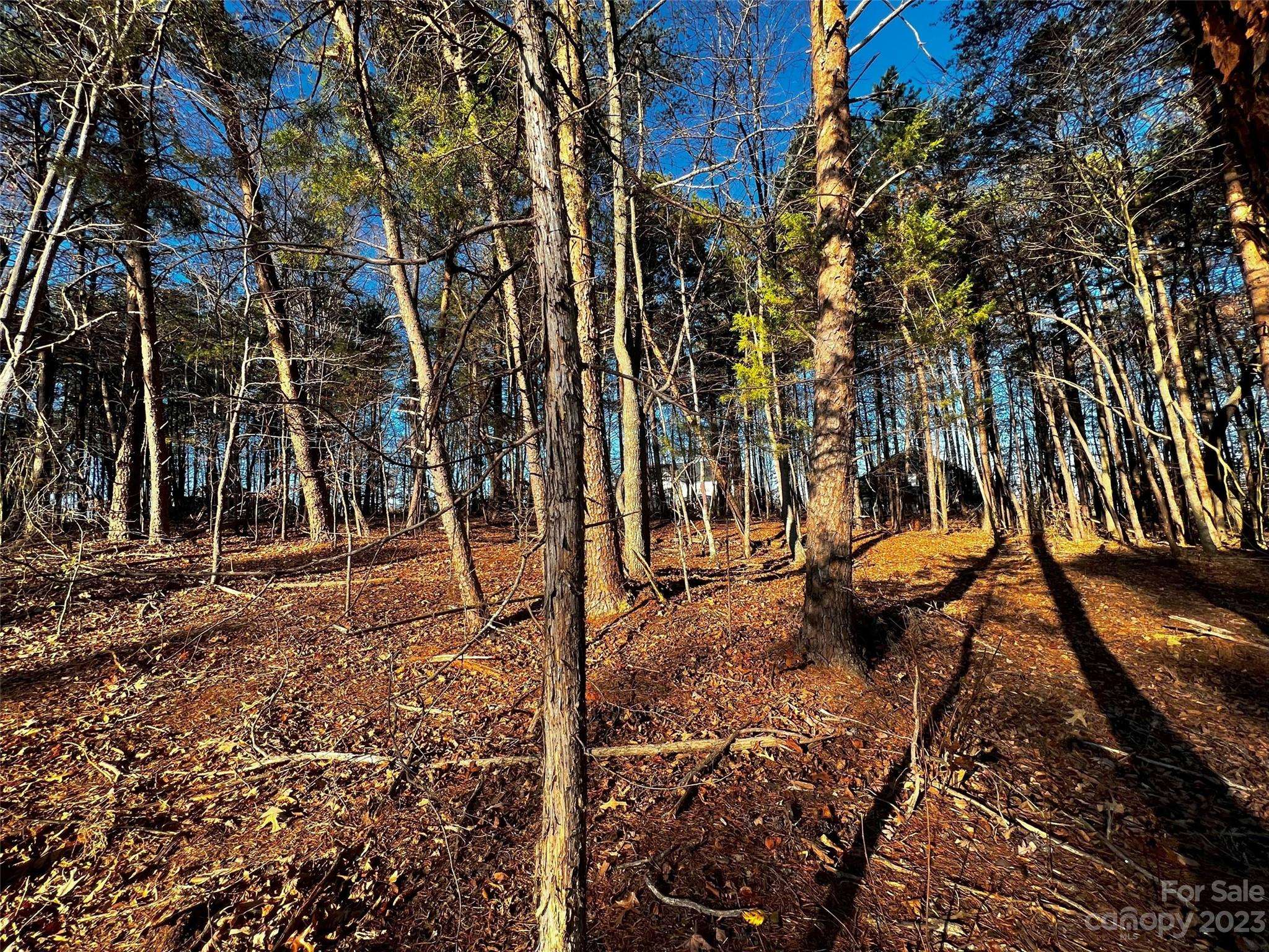 127 Hunt Camp TRL #16, Davidson, NC 28036