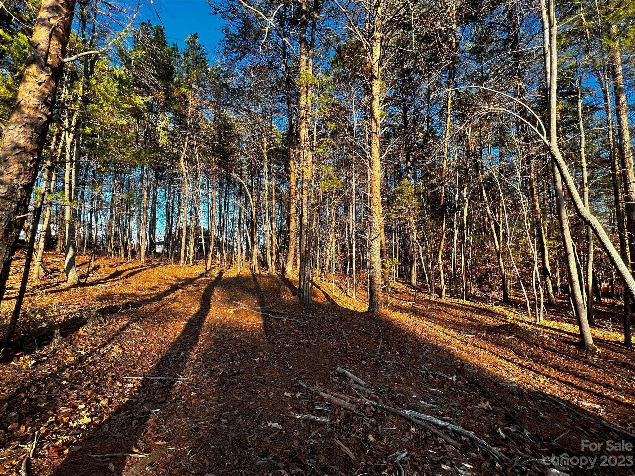 127 Hunt Camp TRL #16, Davidson, NC 28036
