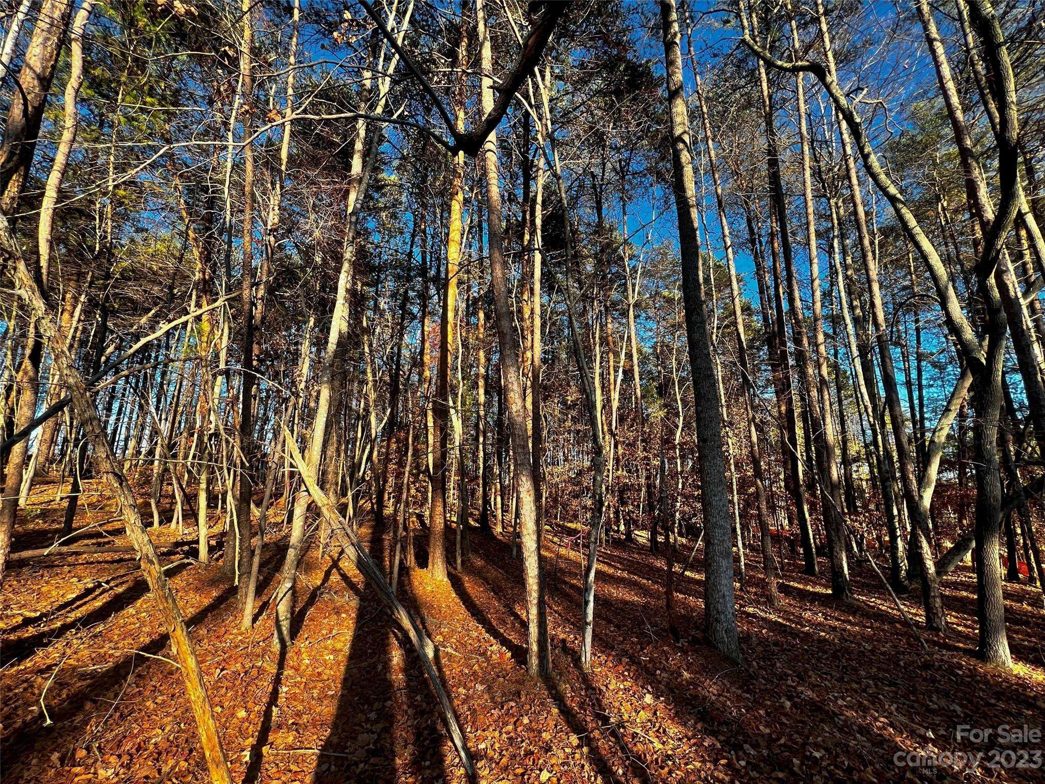 127 Hunt Camp TRL #16, Davidson, NC 28036