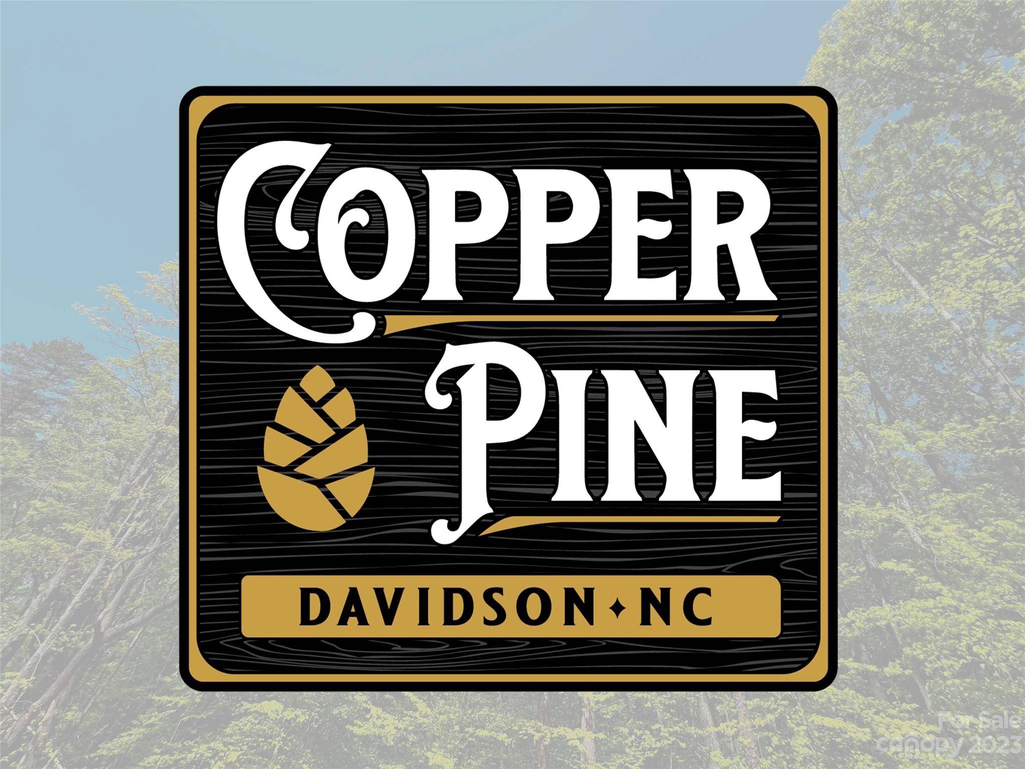 123 Hunt Camp TRL #17, Davidson, NC 28036