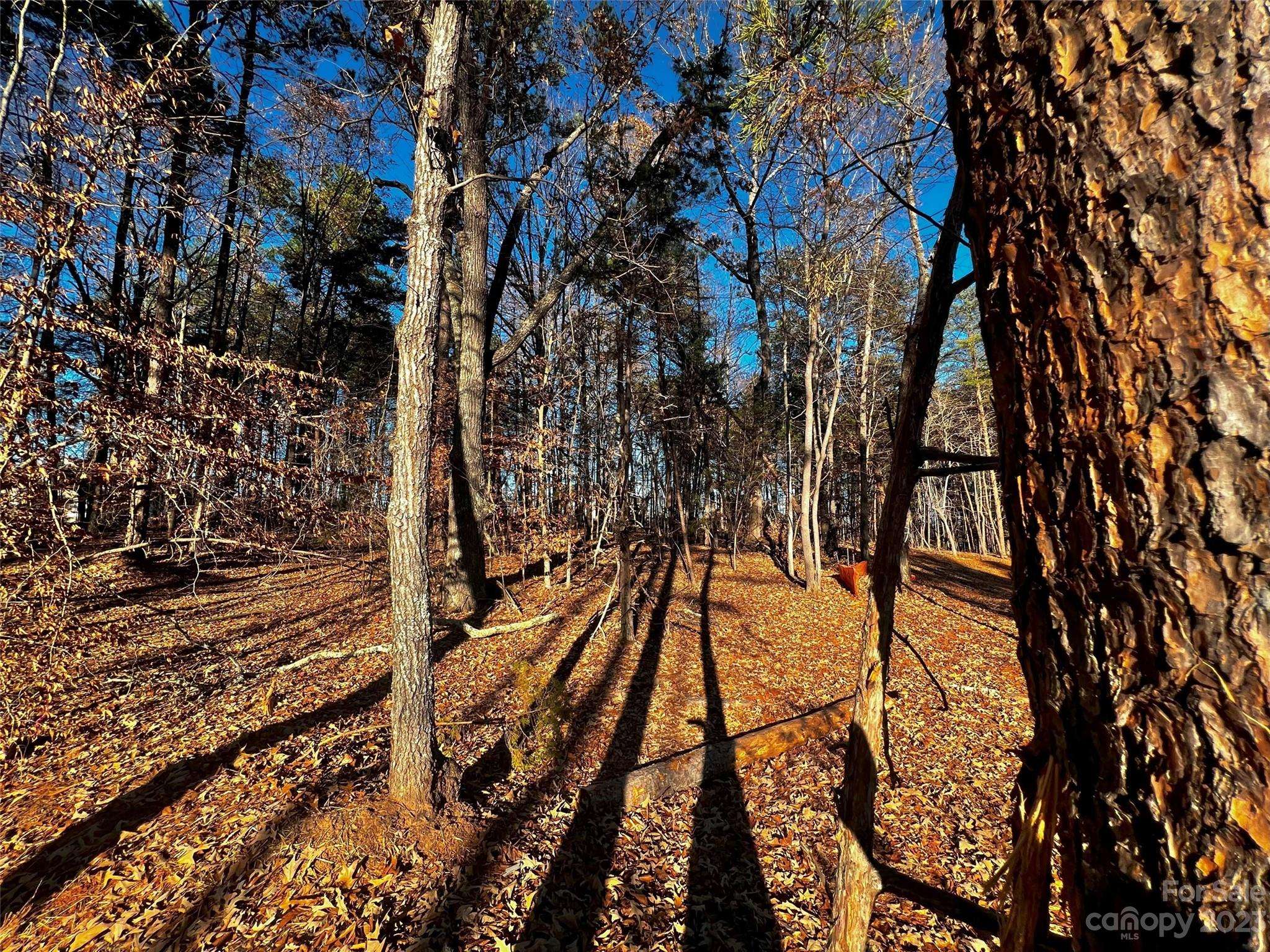 123 Hunt Camp TRL #17, Davidson, NC 28036