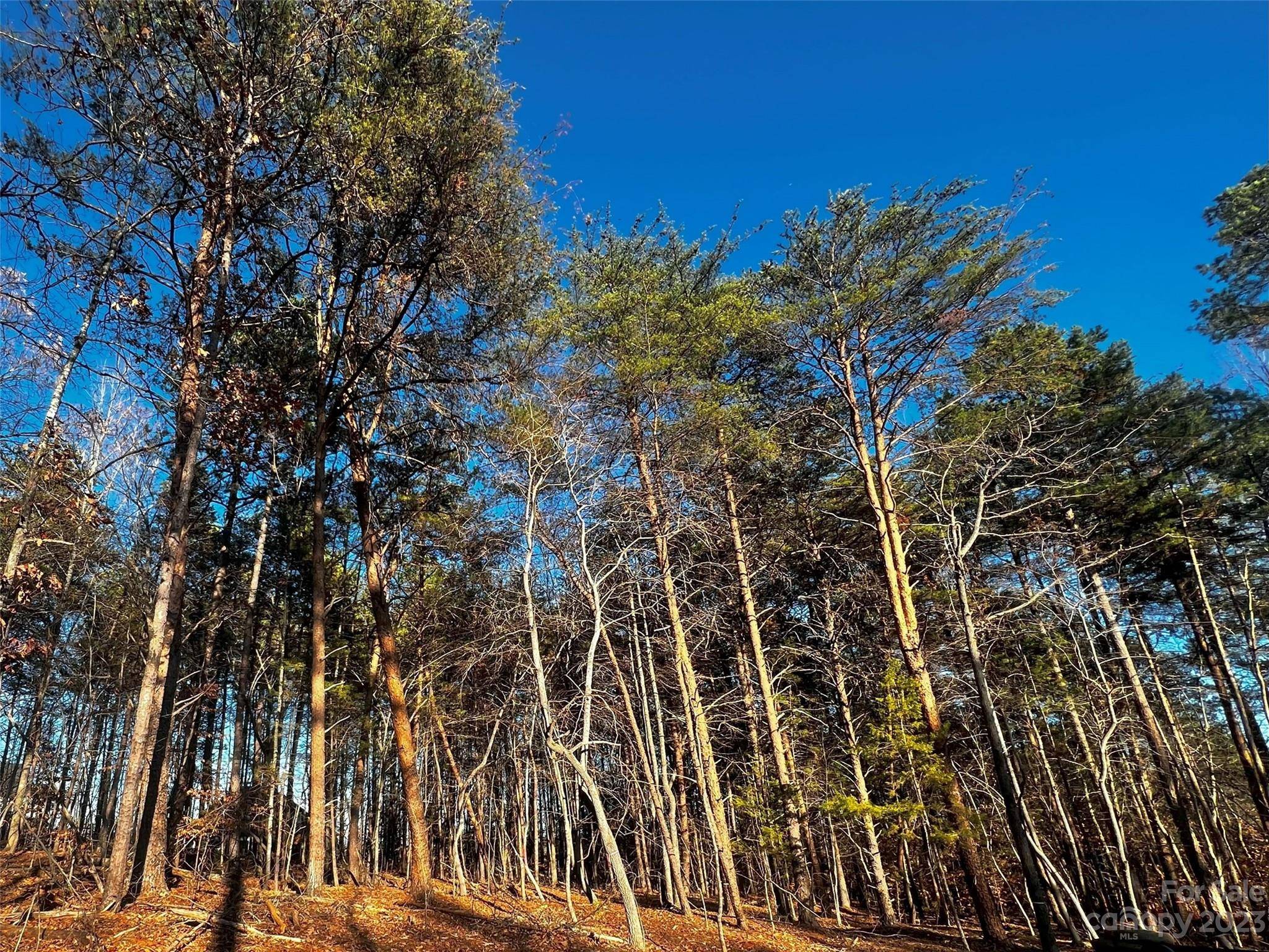 123 Hunt Camp TRL #17, Davidson, NC 28036