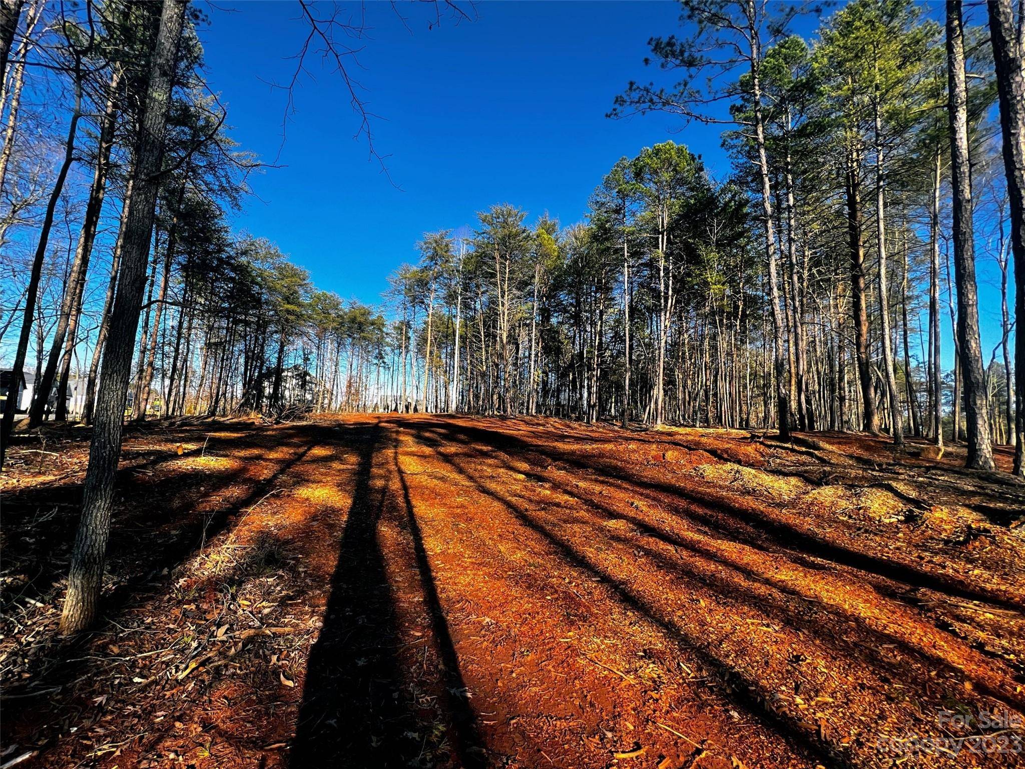 109 Hunt Camp TRL #19, Davidson, NC 28036