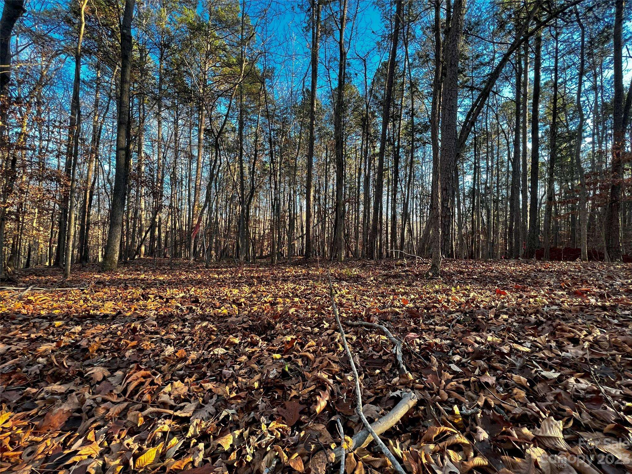 126 Hunt Camp TRL #20, Davidson, NC 28036