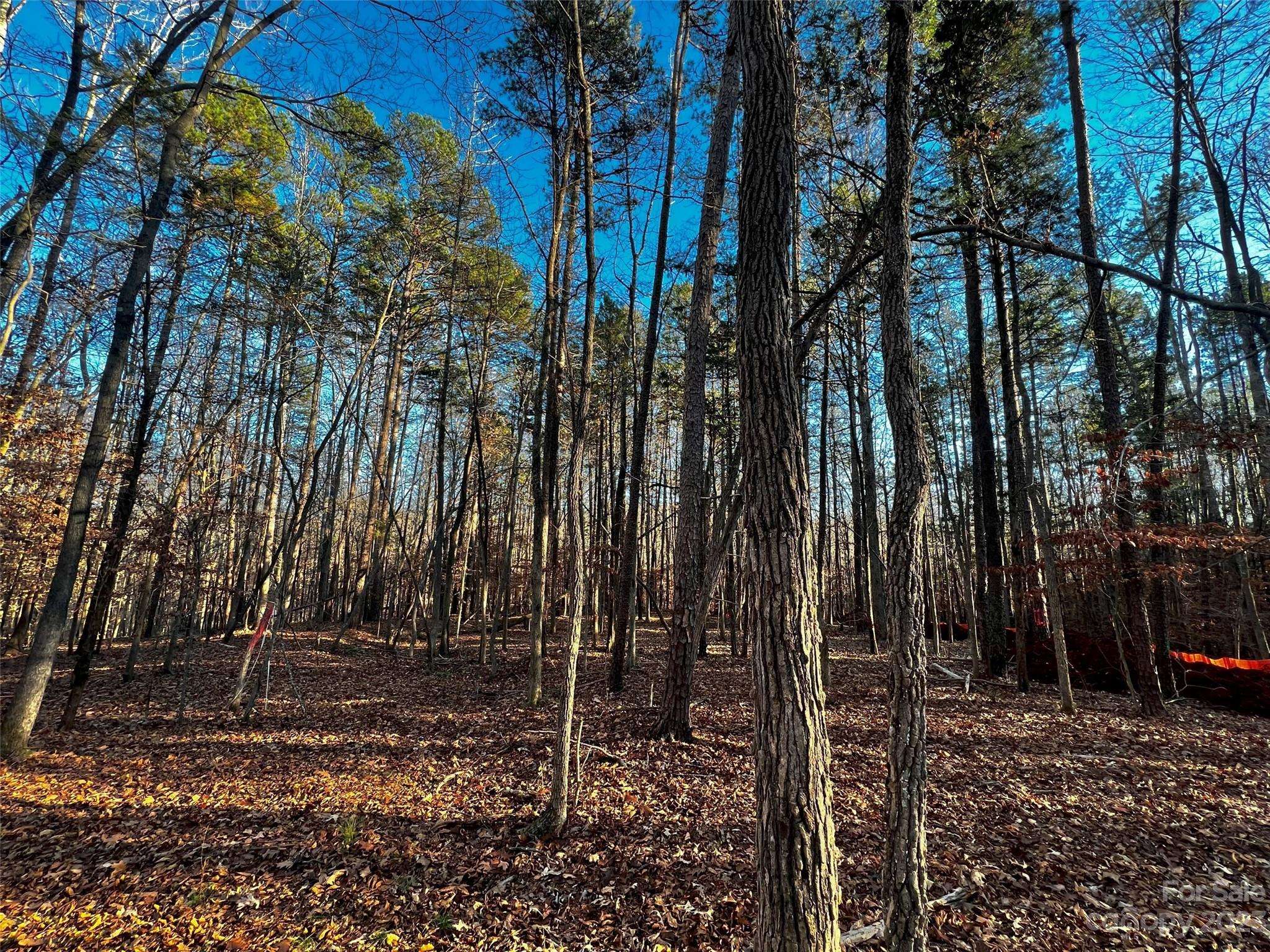 126 Hunt Camp TRL #20, Davidson, NC 28036
