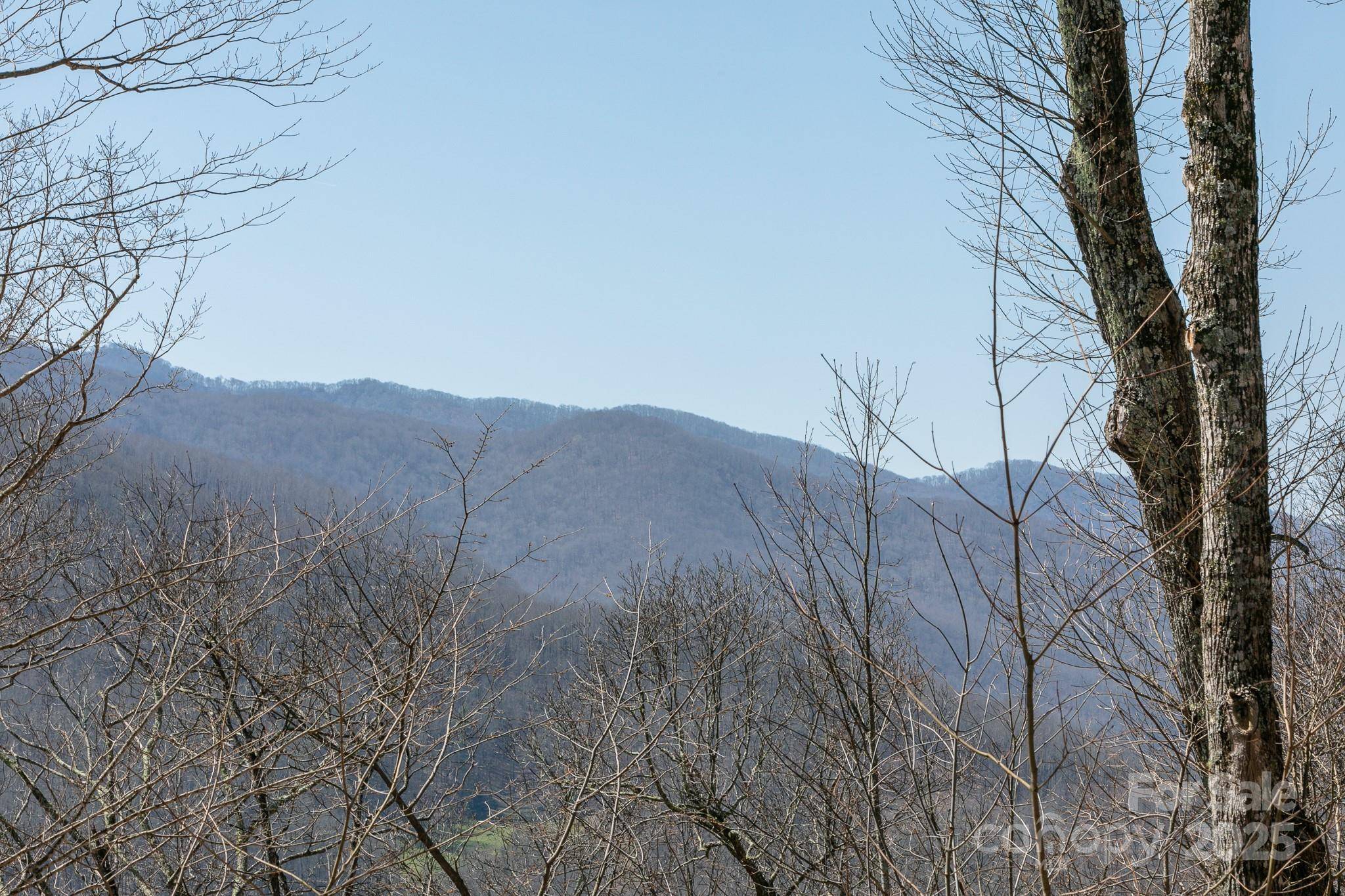 LOT 13 Austin Mountain DR #13/3, Burnsville, NC 21714