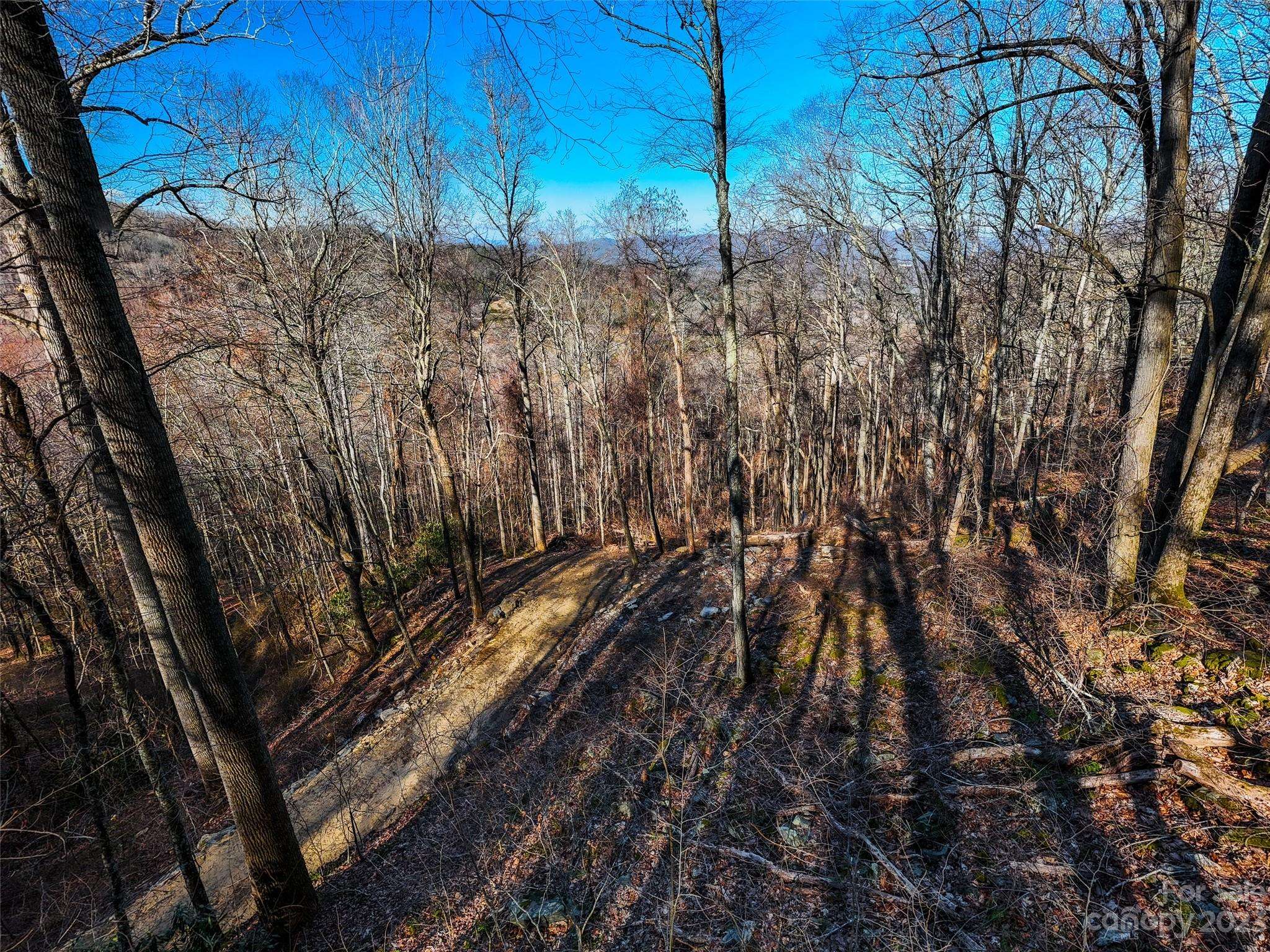 58 Flora Rose TRL #6A, Asheville, NC 28803