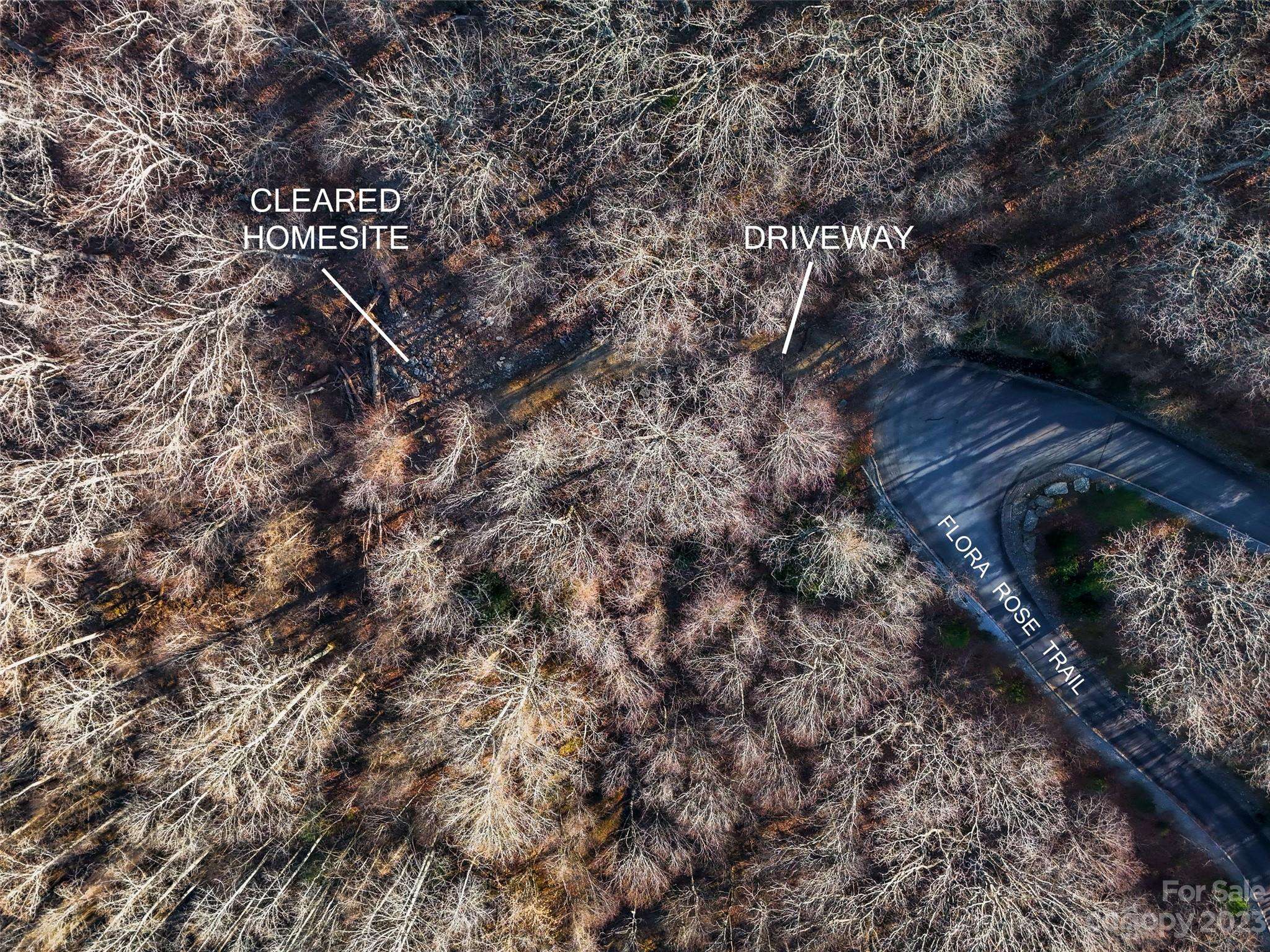 58 Flora Rose TRL #6A, Asheville, NC 28803
