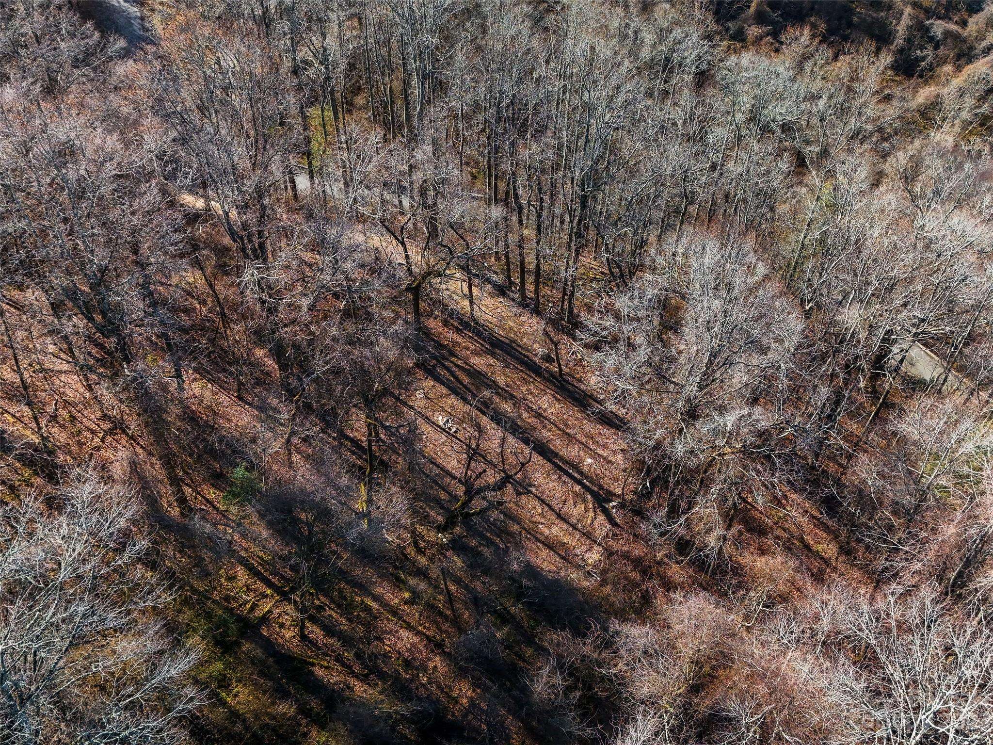64 Flora Rose TRL #6B, Asheville, NC 28803