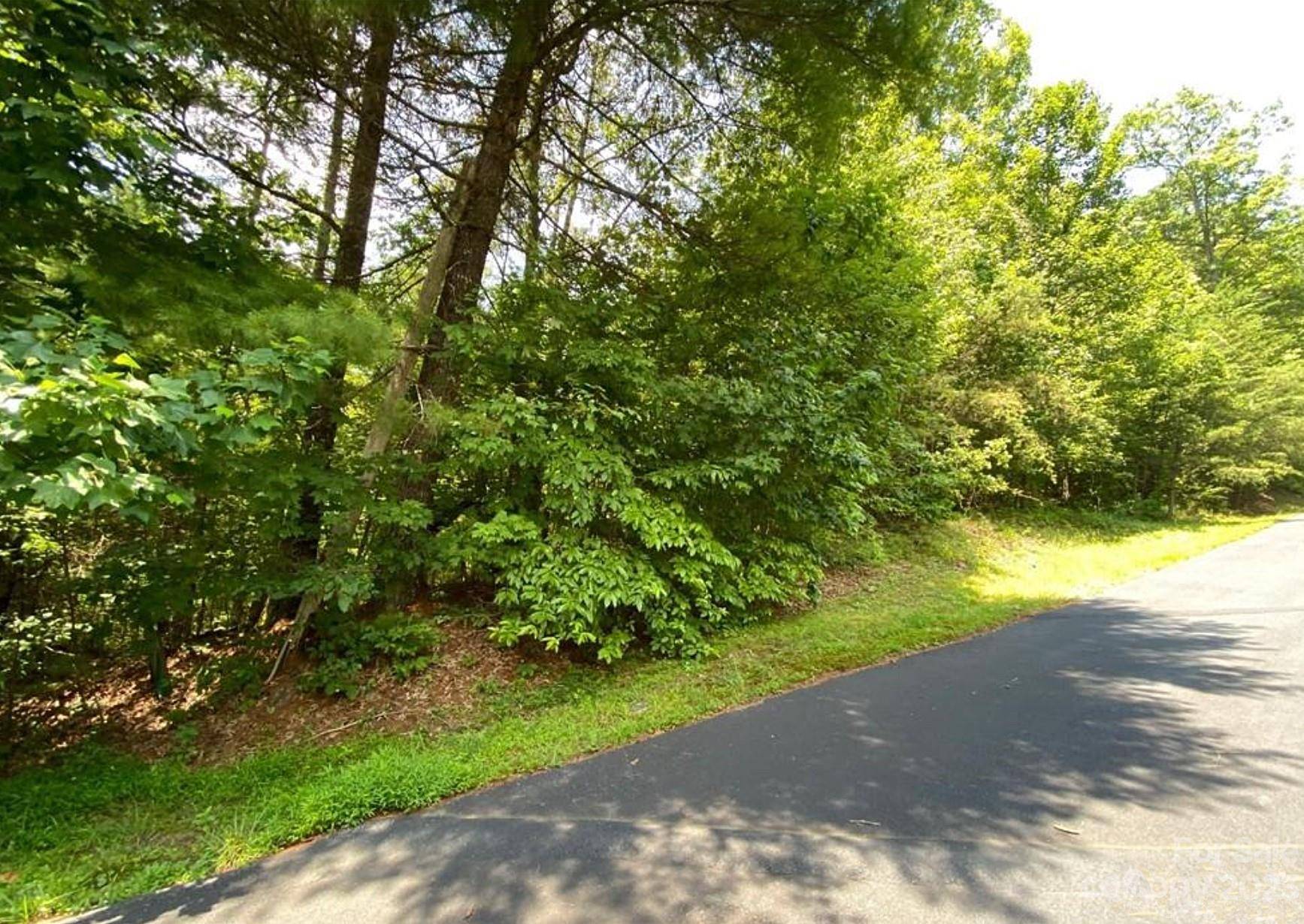 68 Stepp Ridge CT, Hendersonville, NC 28792