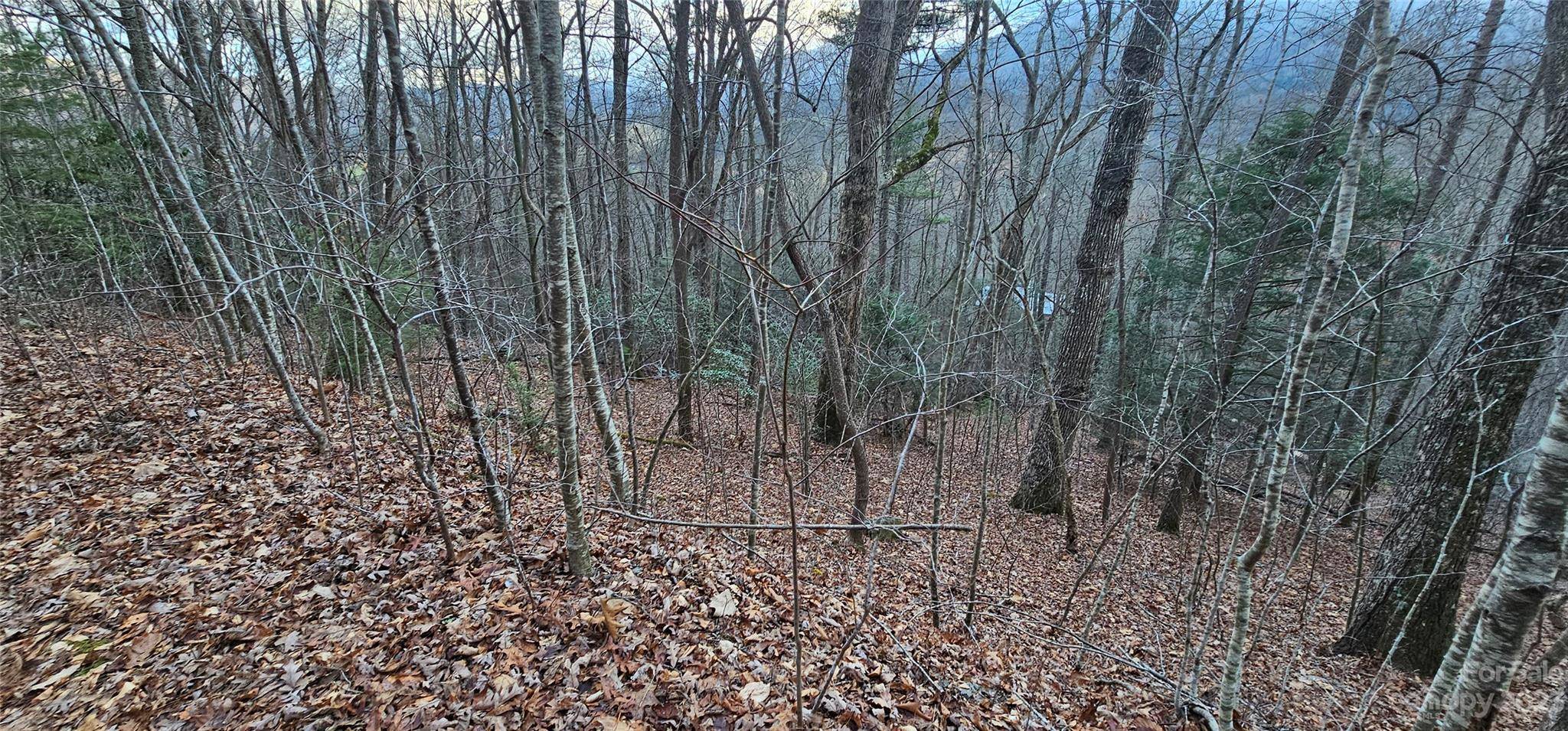 Lot 9 Seay Mountain RD, Waynesville, NC 28785