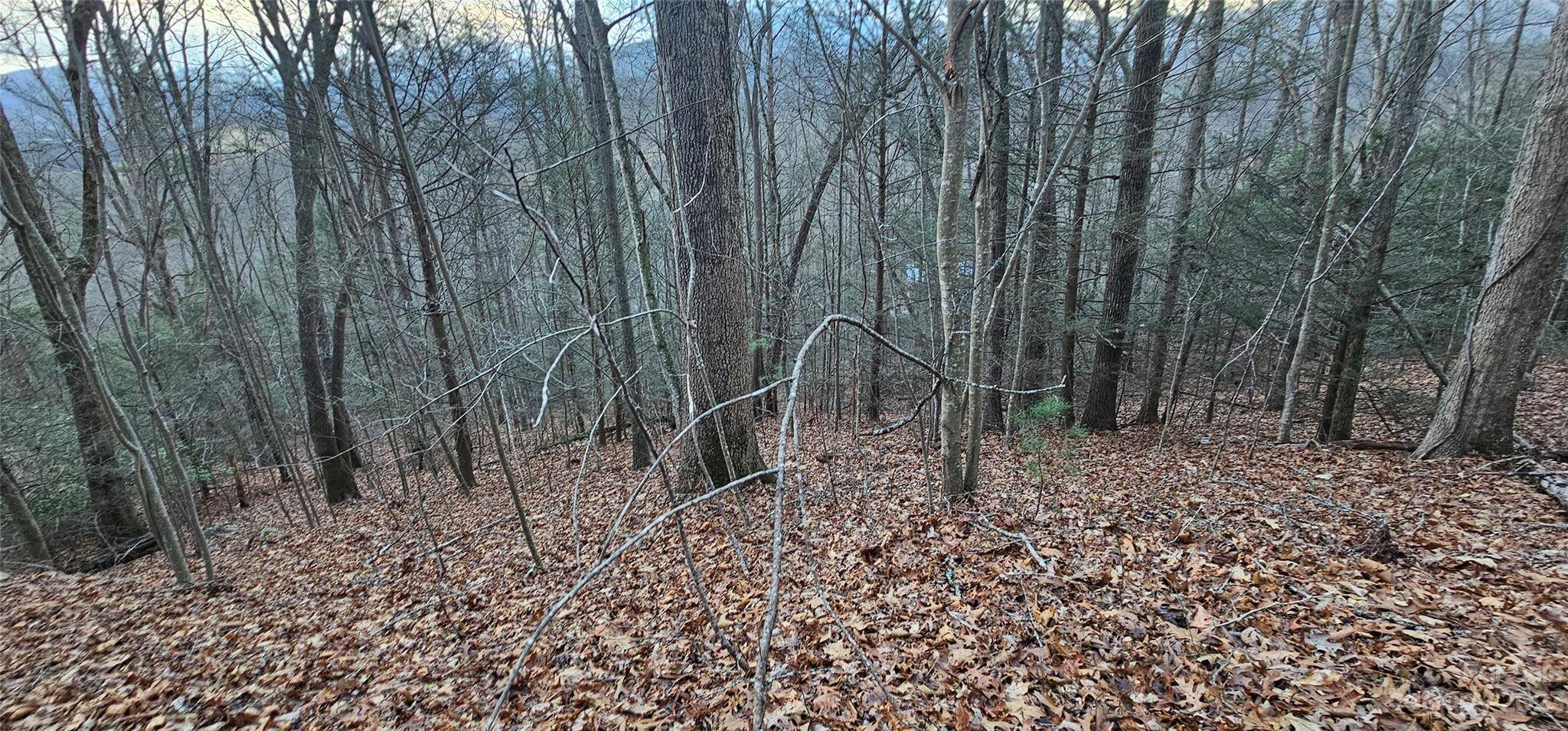 Lot 10 Seay Mountain RD, Waynesville, NC 28785