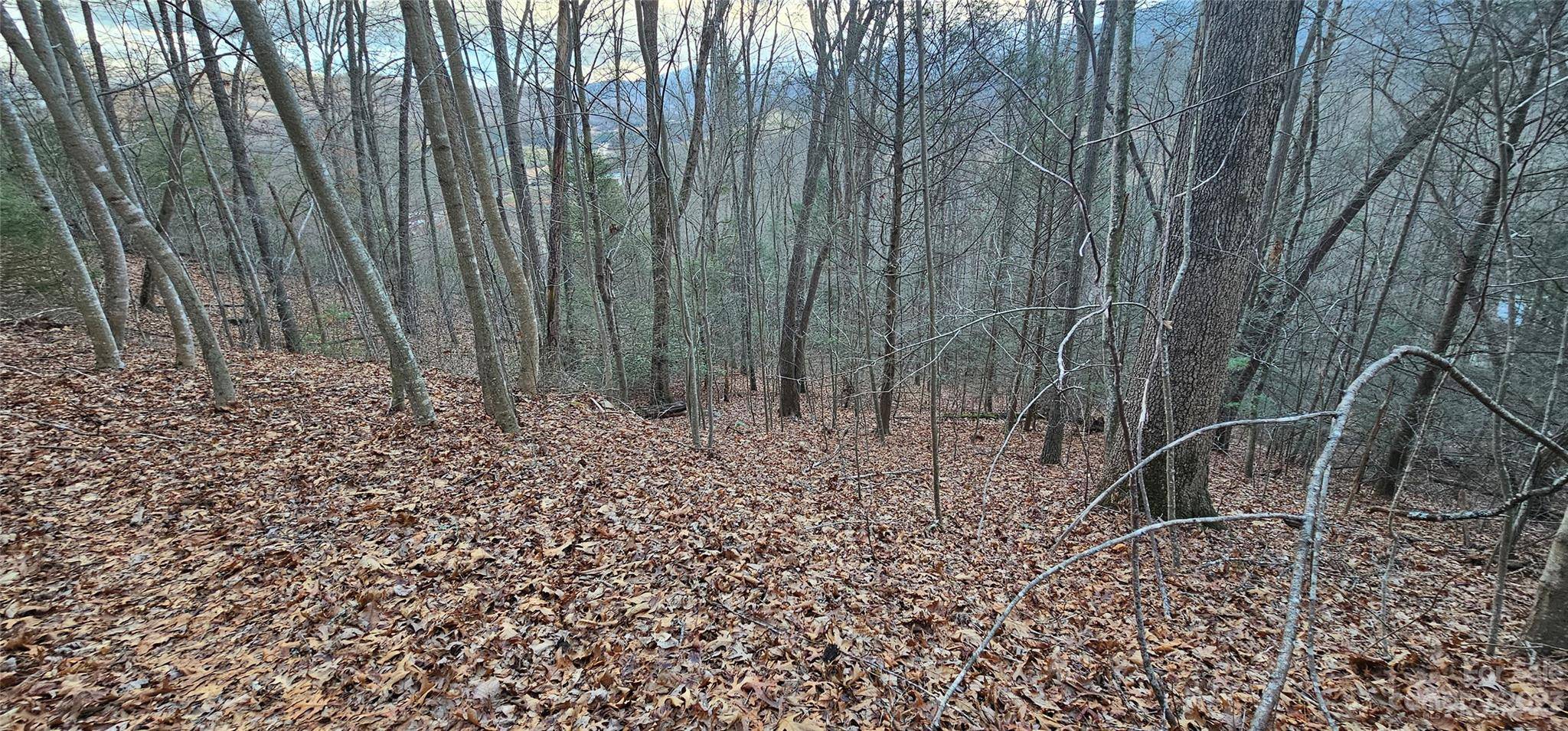 Lot 10 Seay Mountain RD, Waynesville, NC 28785