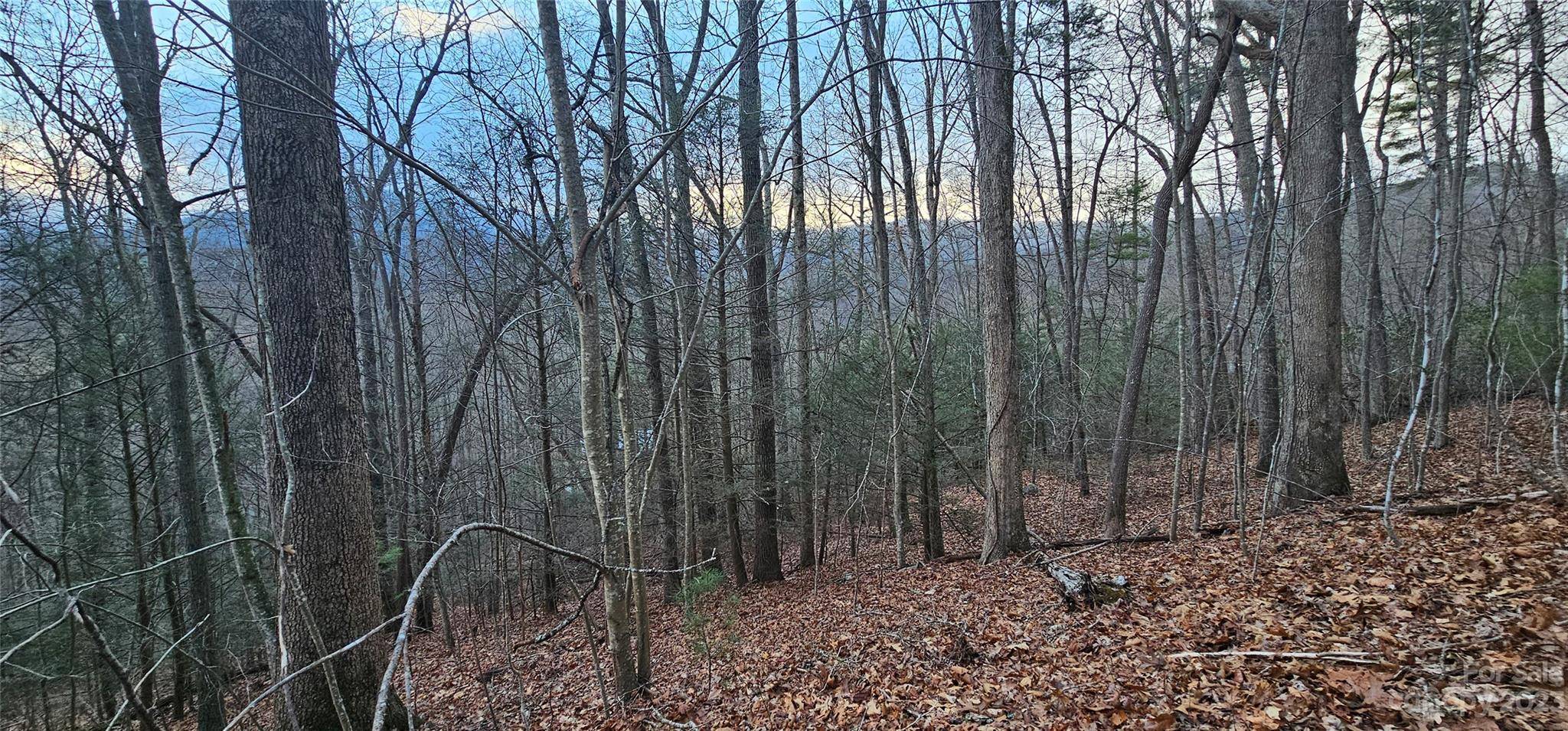 Lot 10 Seay Mountain RD, Waynesville, NC 28785