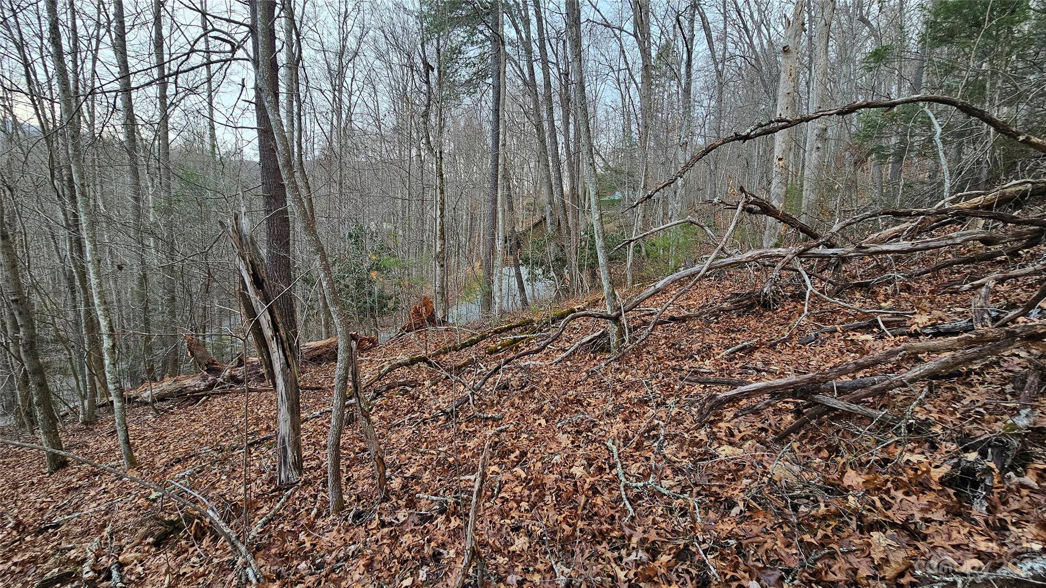 Lot 13 Seay Mountain RD, Waynesville, NC 28785