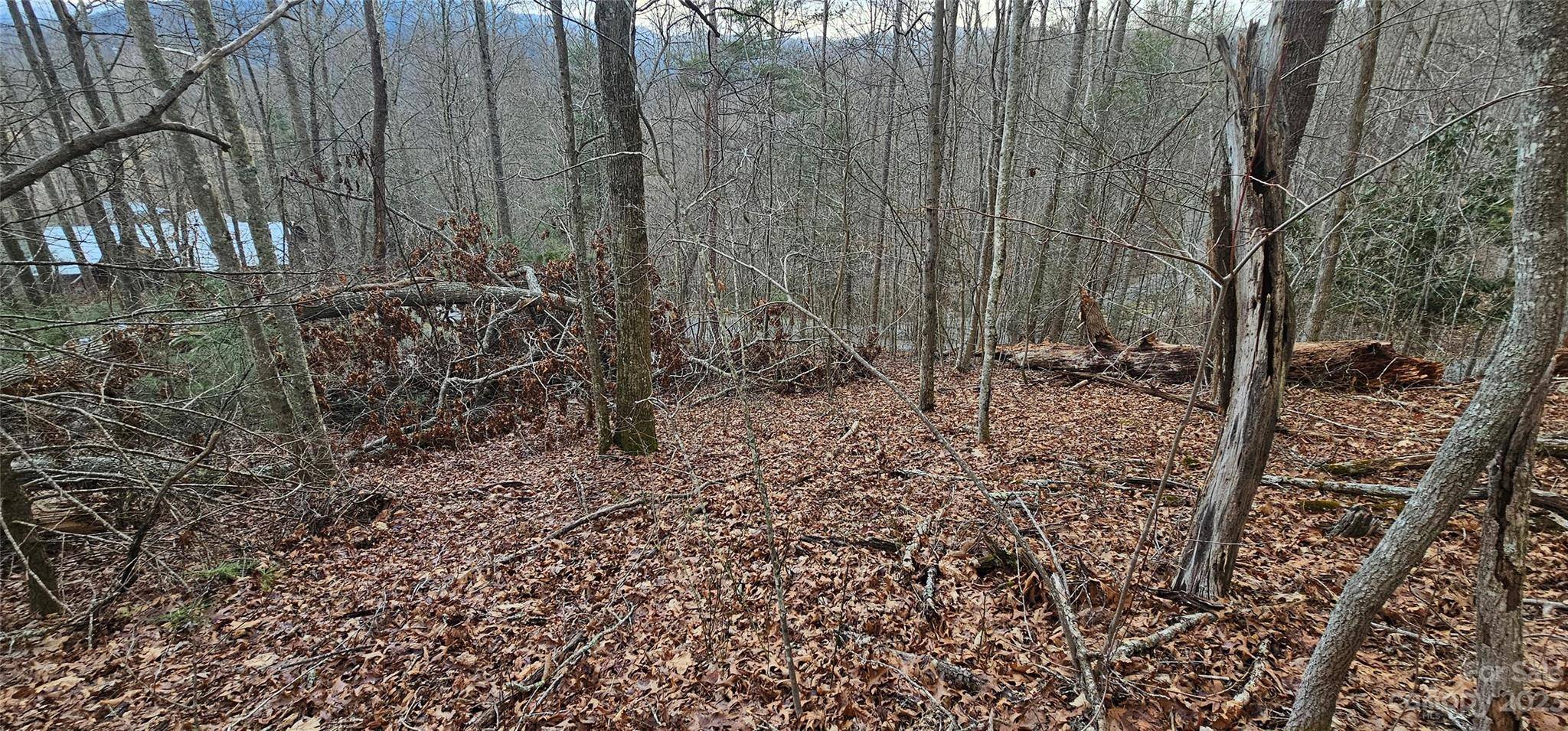 Lot 13 Seay Mountain RD, Waynesville, NC 28785