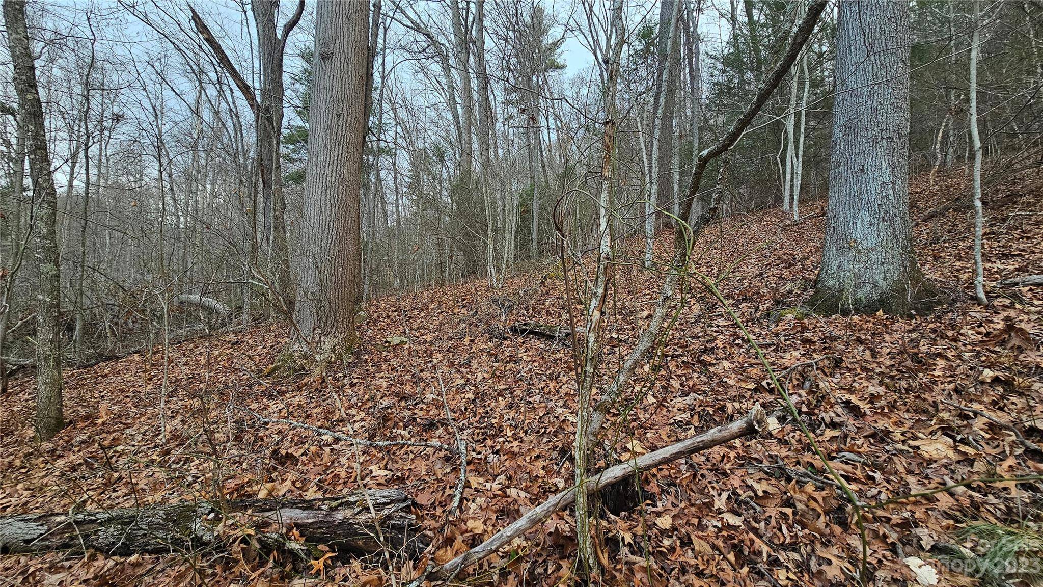 Lot 14 Seay Mountain RD, Waynesville, NC 28785