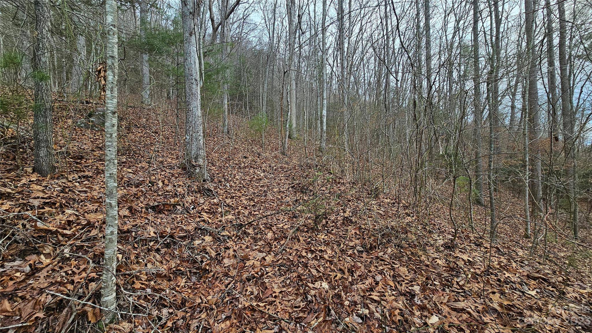 Lot 14 Seay Mountain RD, Waynesville, NC 28785
