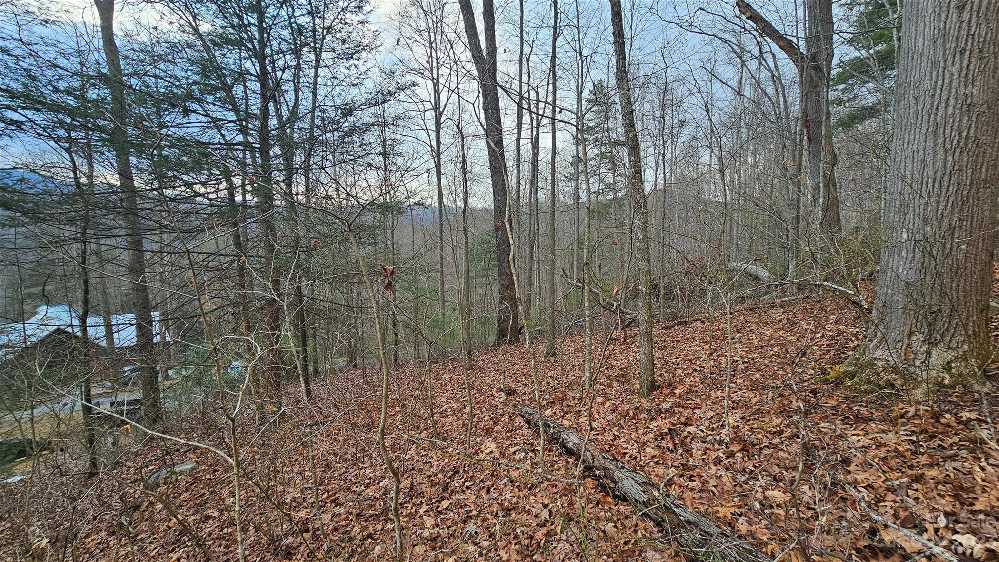 Lot 14 Seay Mountain RD, Waynesville, NC 28785
