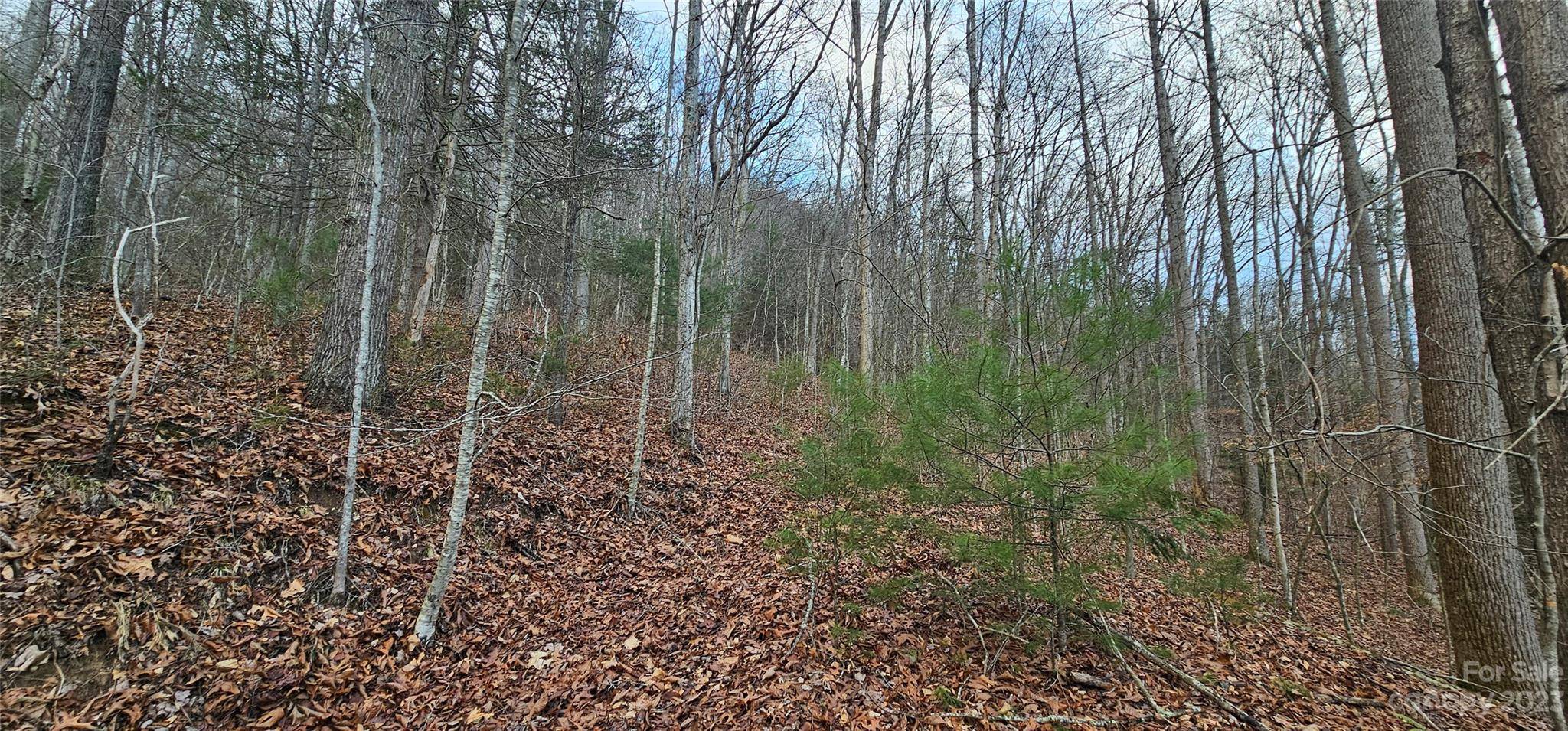 4 Lots Seay Mountain RD, Waynesville, NC 28785