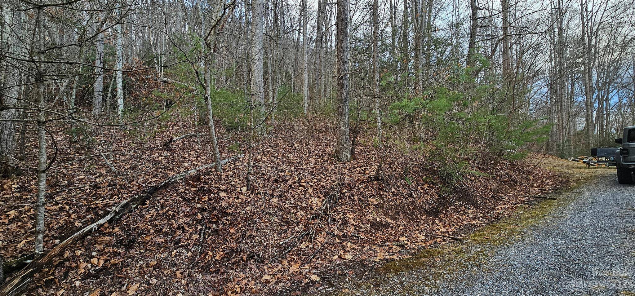 4 Lots Seay Mountain RD, Waynesville, NC 28785
