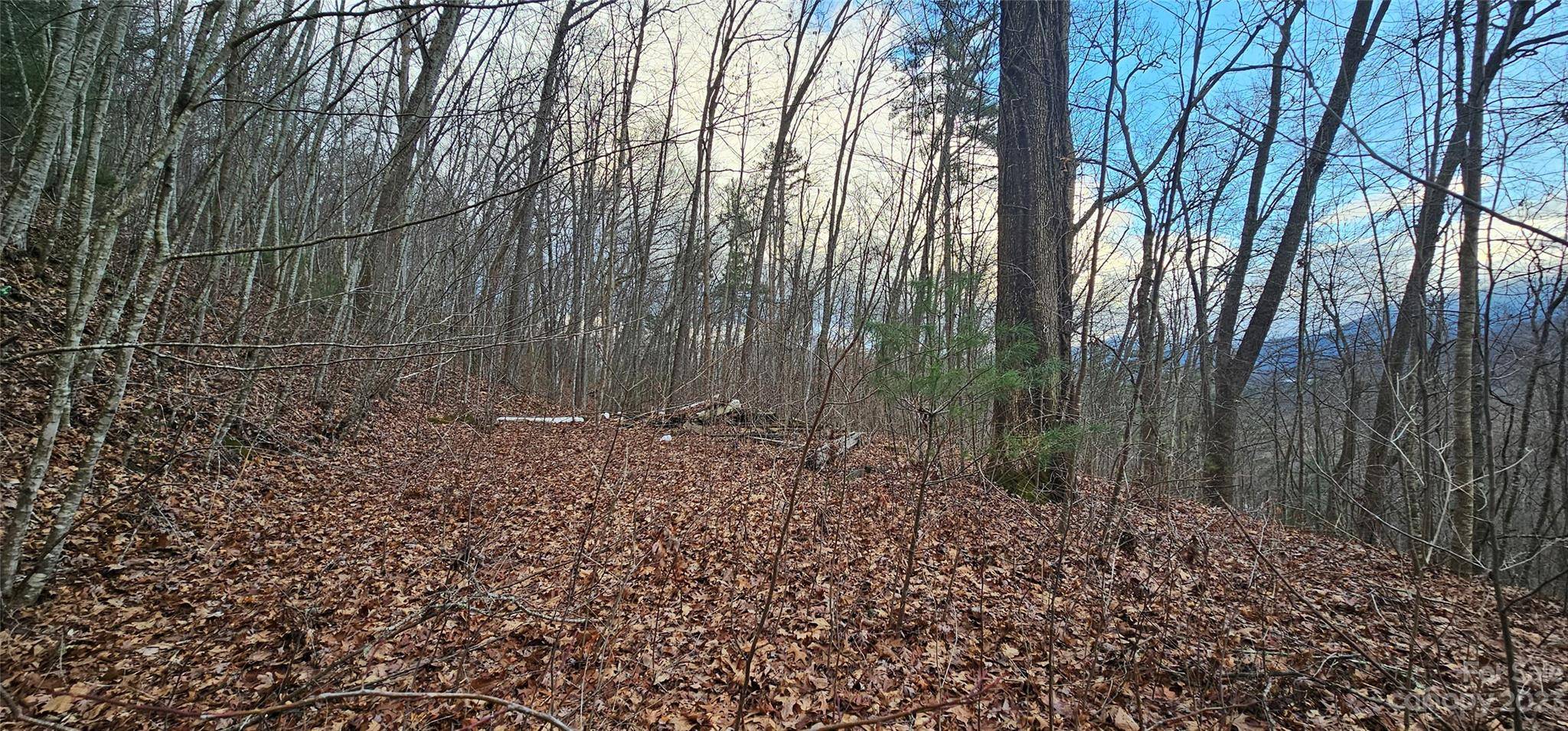 4 Lots Seay Mountain RD, Waynesville, NC 28785