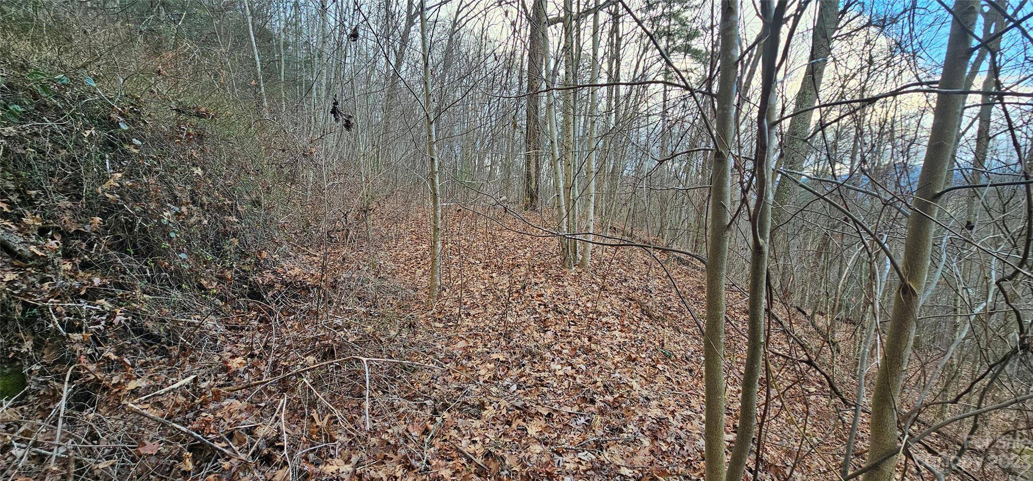 4 Lots Seay Mountain RD, Waynesville, NC 28785