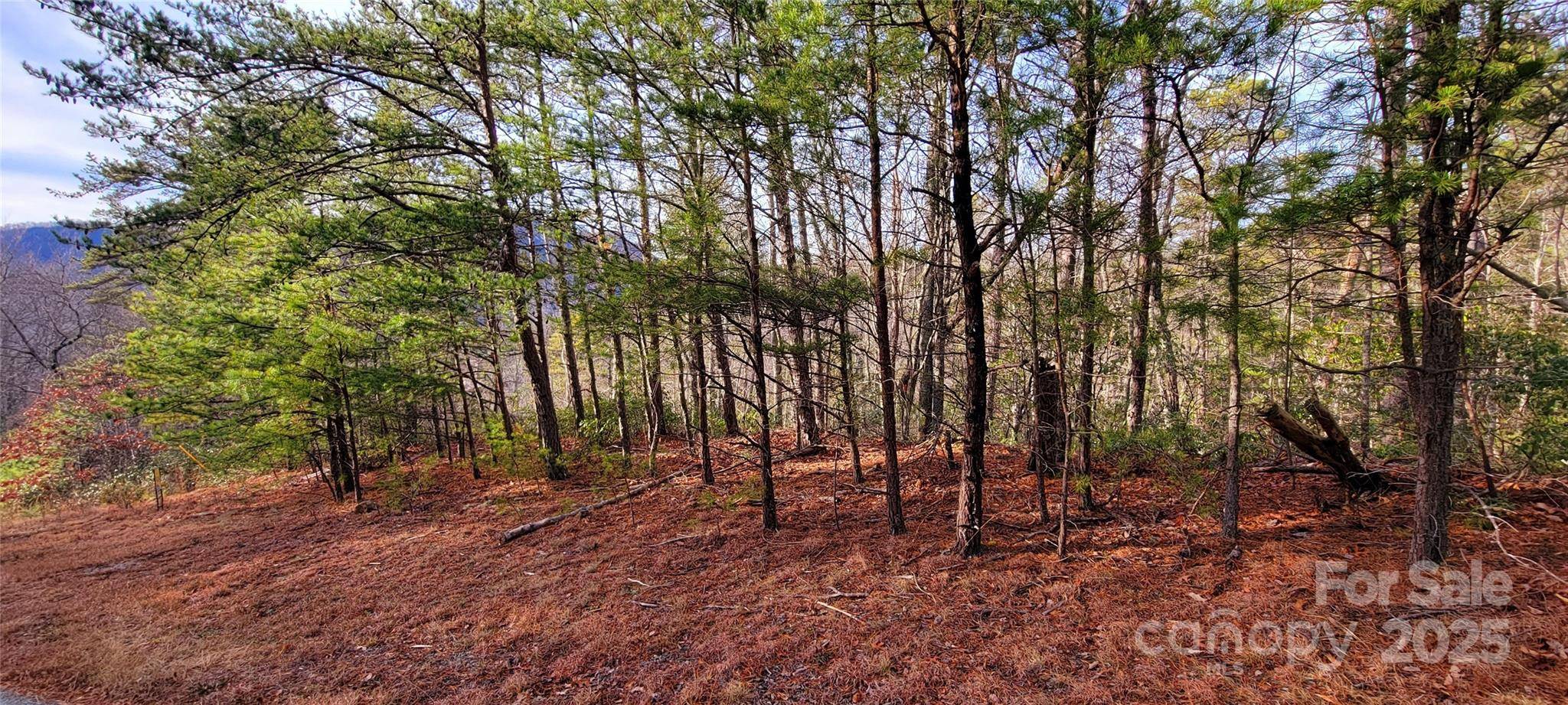 V/L Chickasaw WAY #2B, Marion, NC 28752