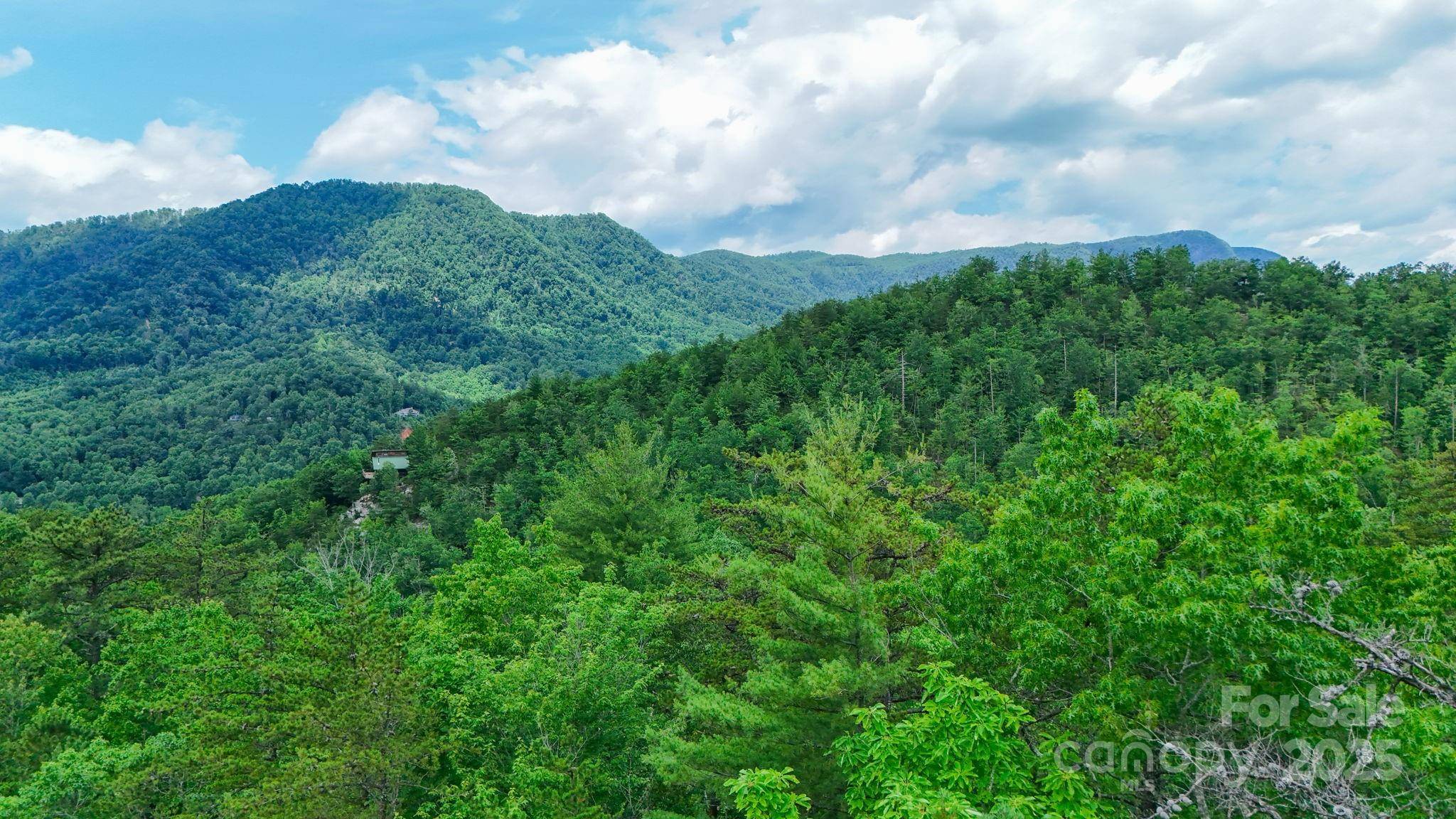 55 Chickasaw WAY #3B, Marion, NC 28752