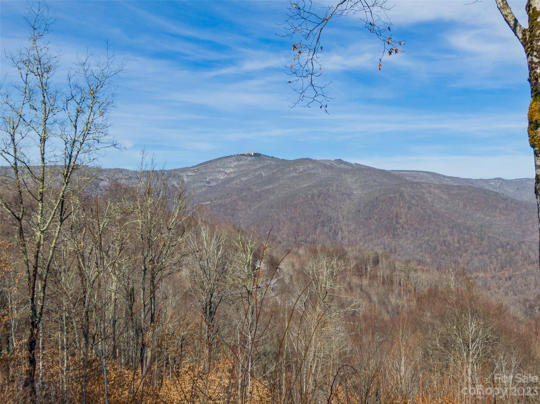 Lot 38 Black Bear RUN, Mars Hill, NC 28754