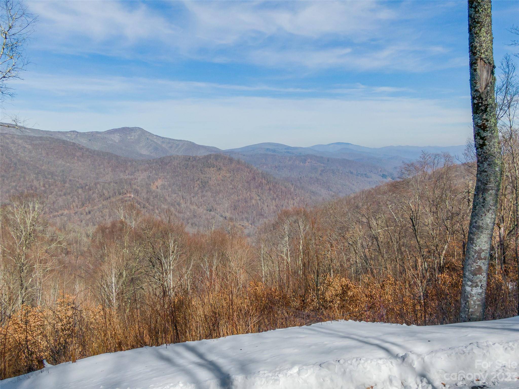 Lot 38 Black Bear RUN, Mars Hill, NC 28754