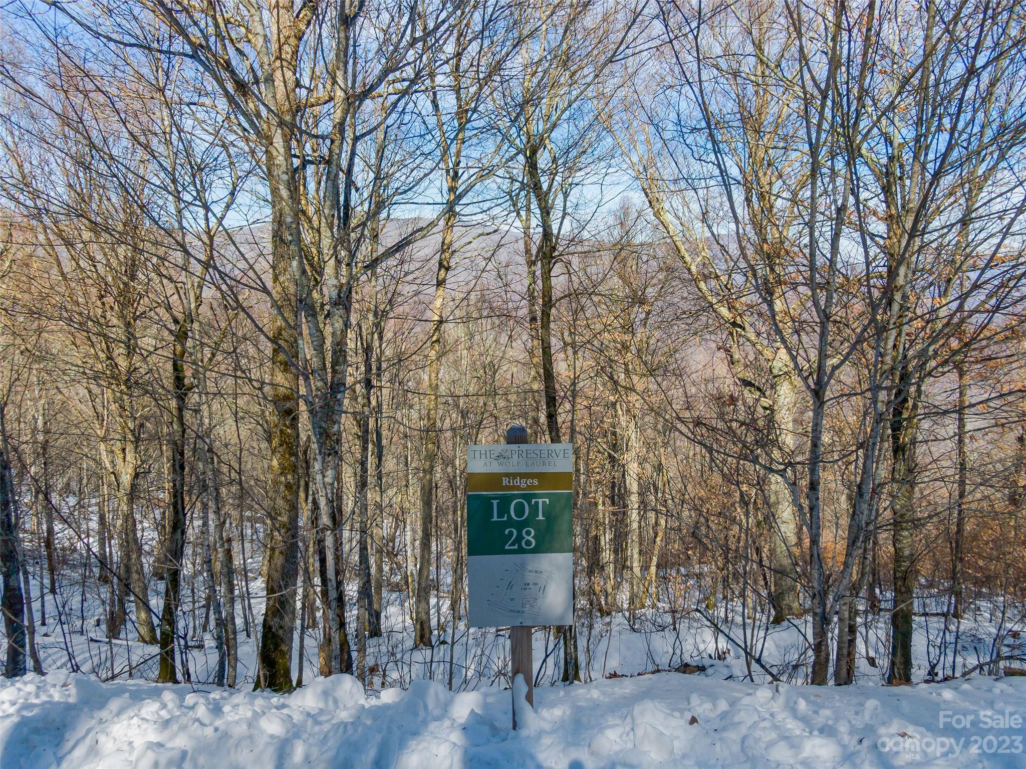 Lot 28 Black Bear RUN, Mars Hill, NC 28754