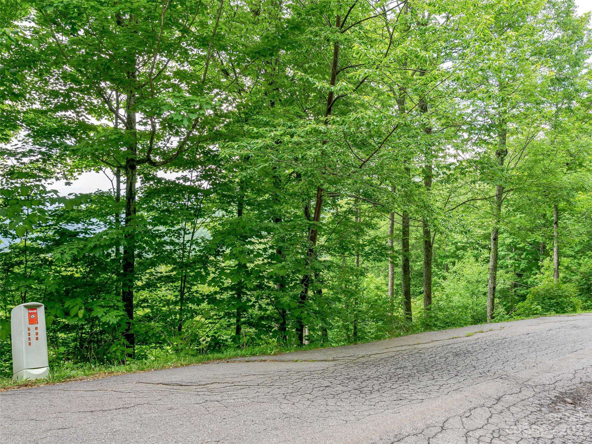 Lot 27 Black Bear RUN, Mars Hill, NC 28754