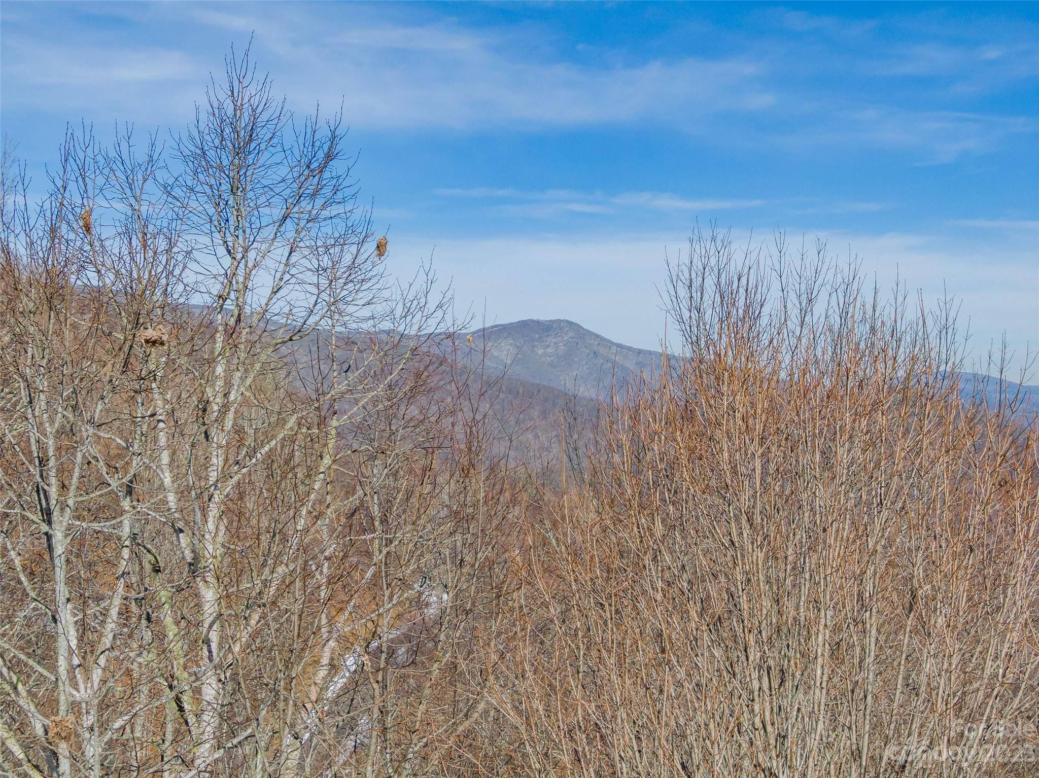 Lot 43 Black Bear RUN, Mars Hill, NC 28754