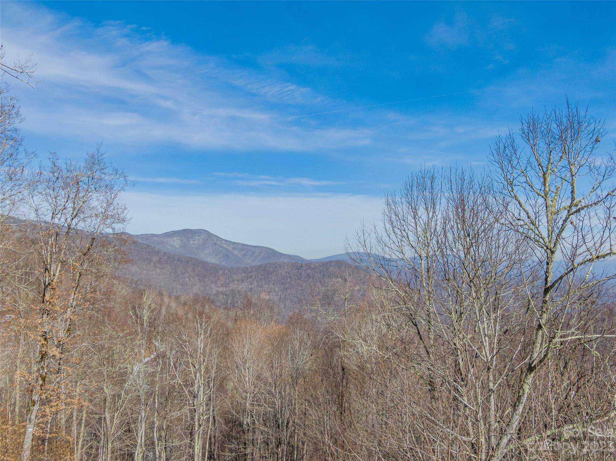 Lot 42 Black Bear RUN, Mars Hill, NC 28754