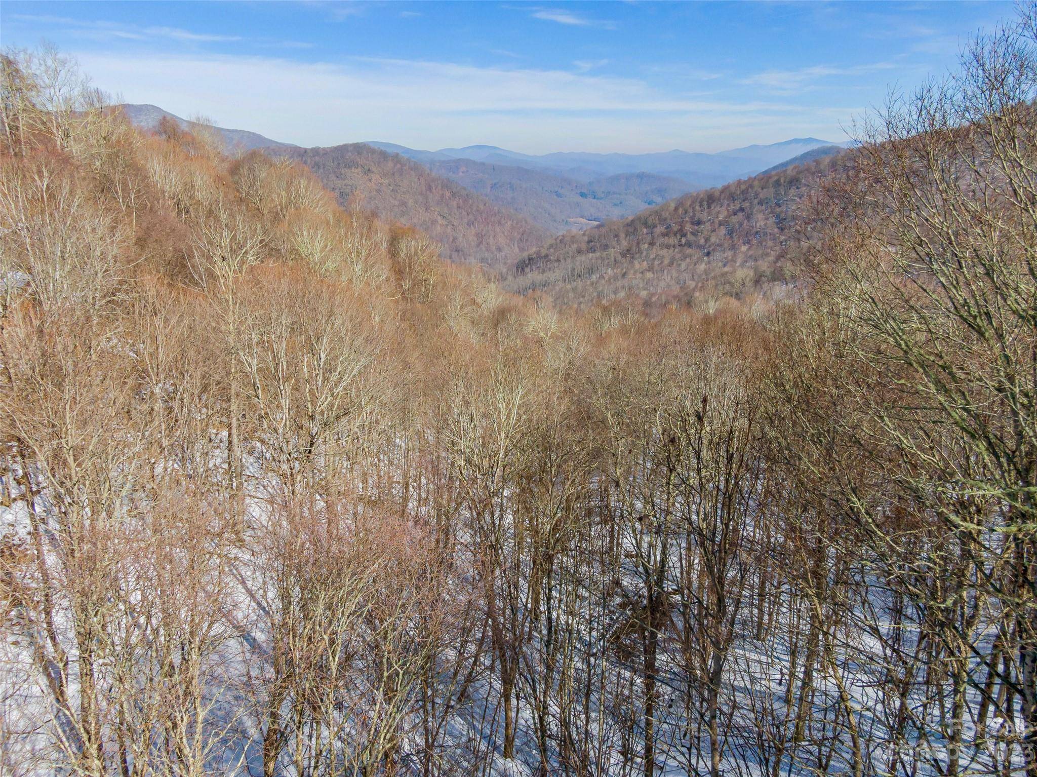 Lot 44 Black Bear RUN, Mars Hill, NC 28754