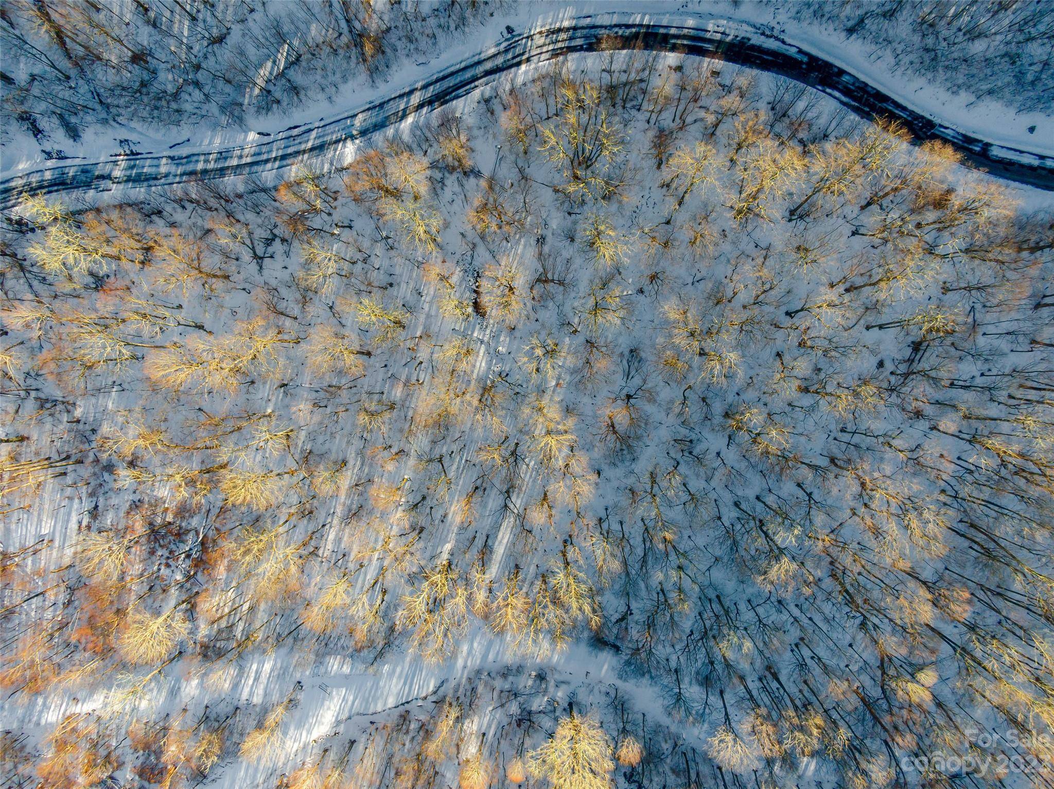 Lot 15 Mountain Gait DR, Mars Hill, NC 28754