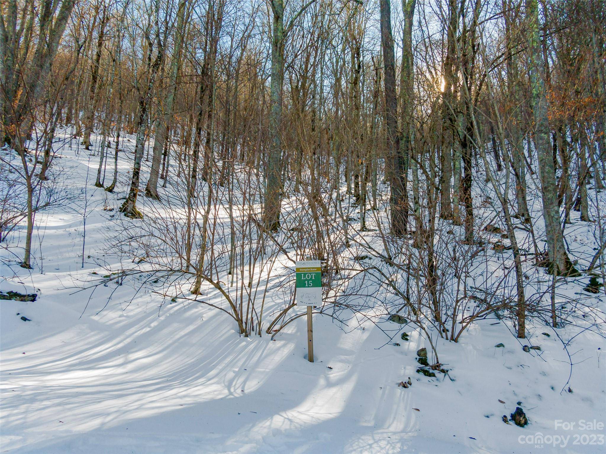 Lot 15 Mountain Gait DR, Mars Hill, NC 28754