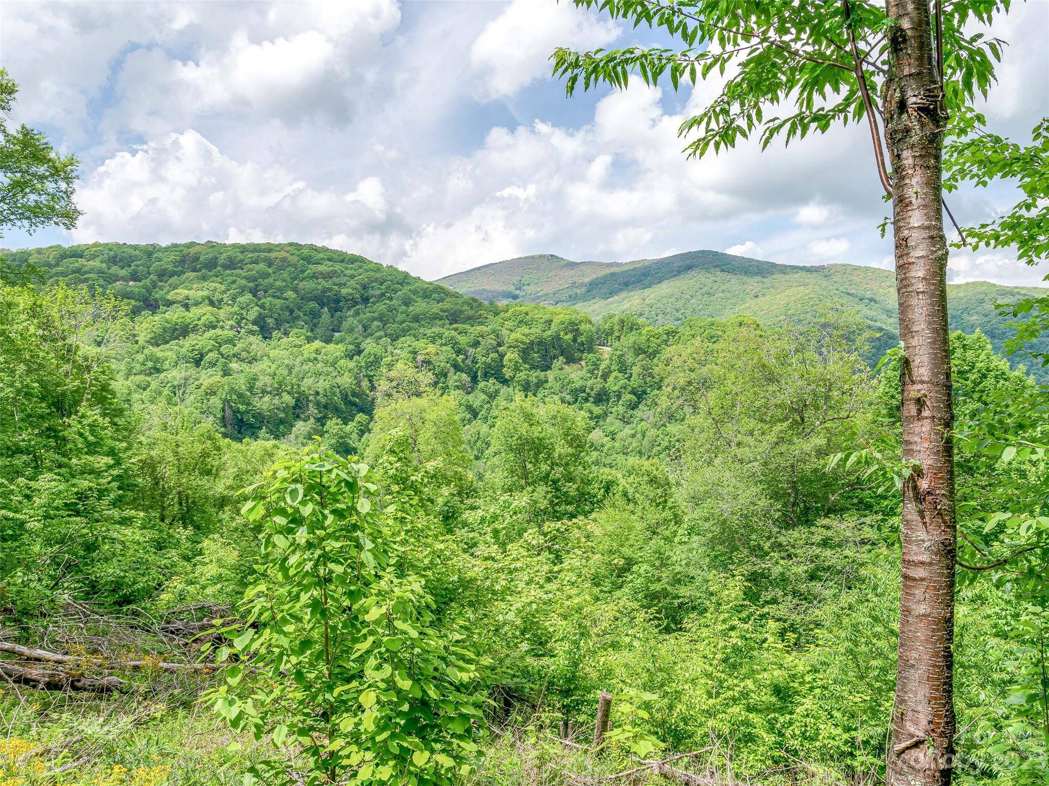 Lot 9 Mountain Gait DR, Mars Hill, NC 28754