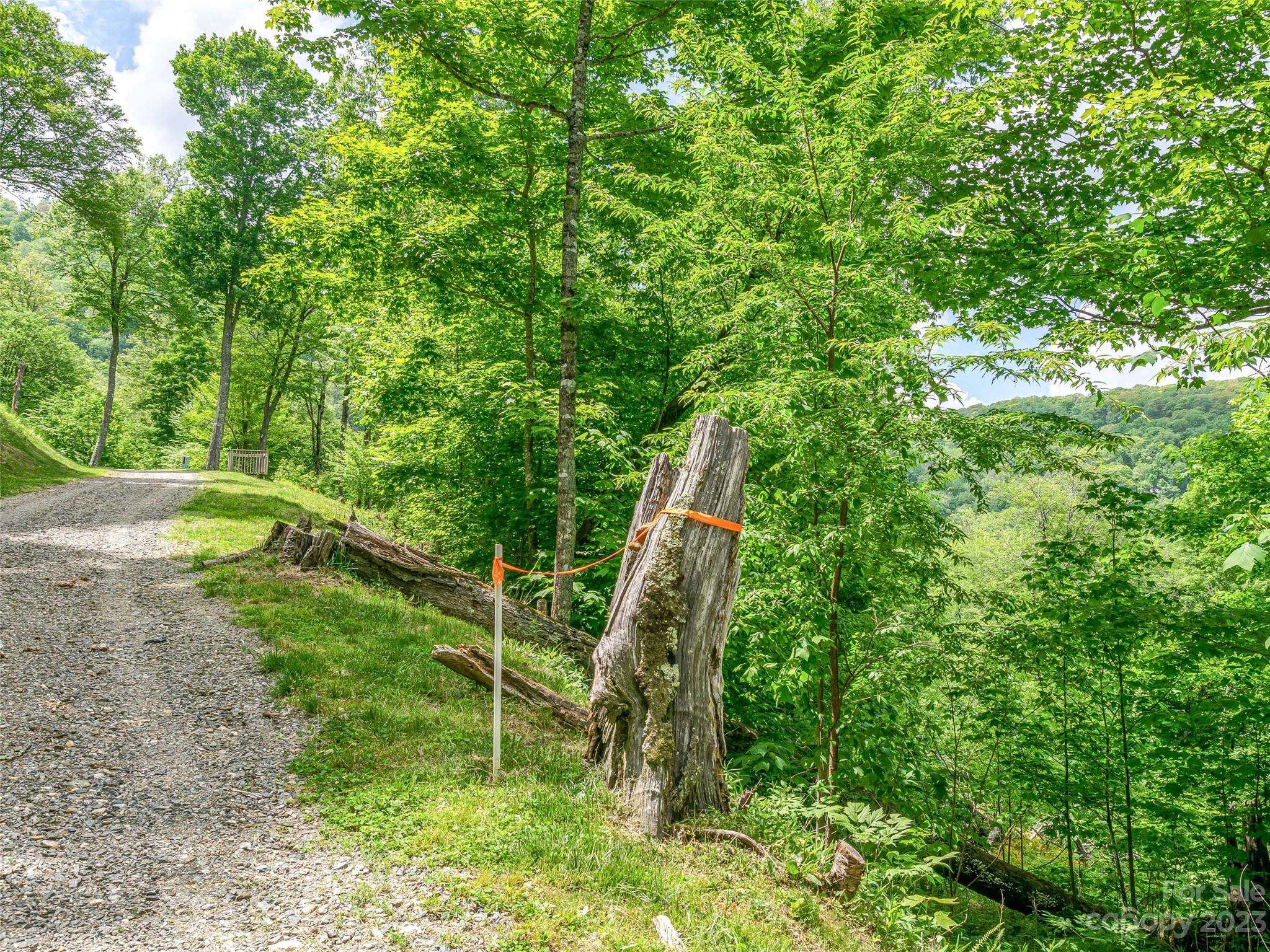 Lot 9 Mountain Gait DR, Mars Hill, NC 28754